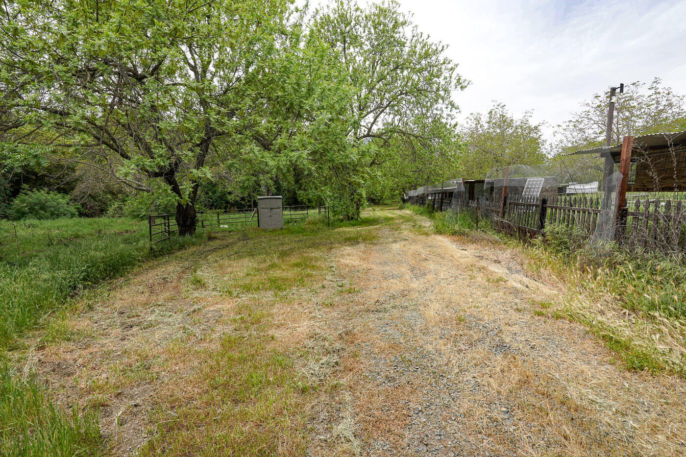 main property photo 58