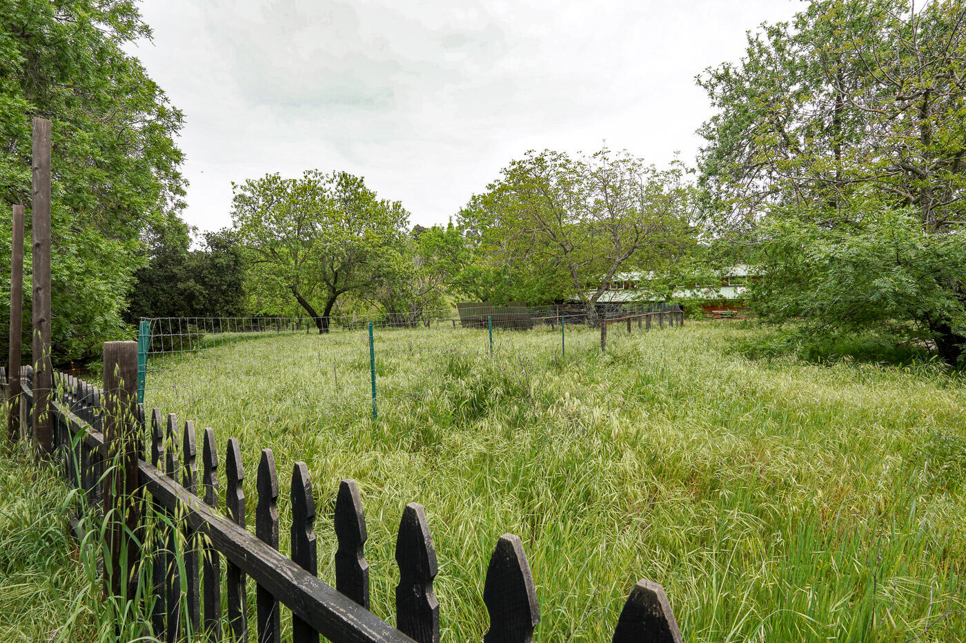 main property photo 59