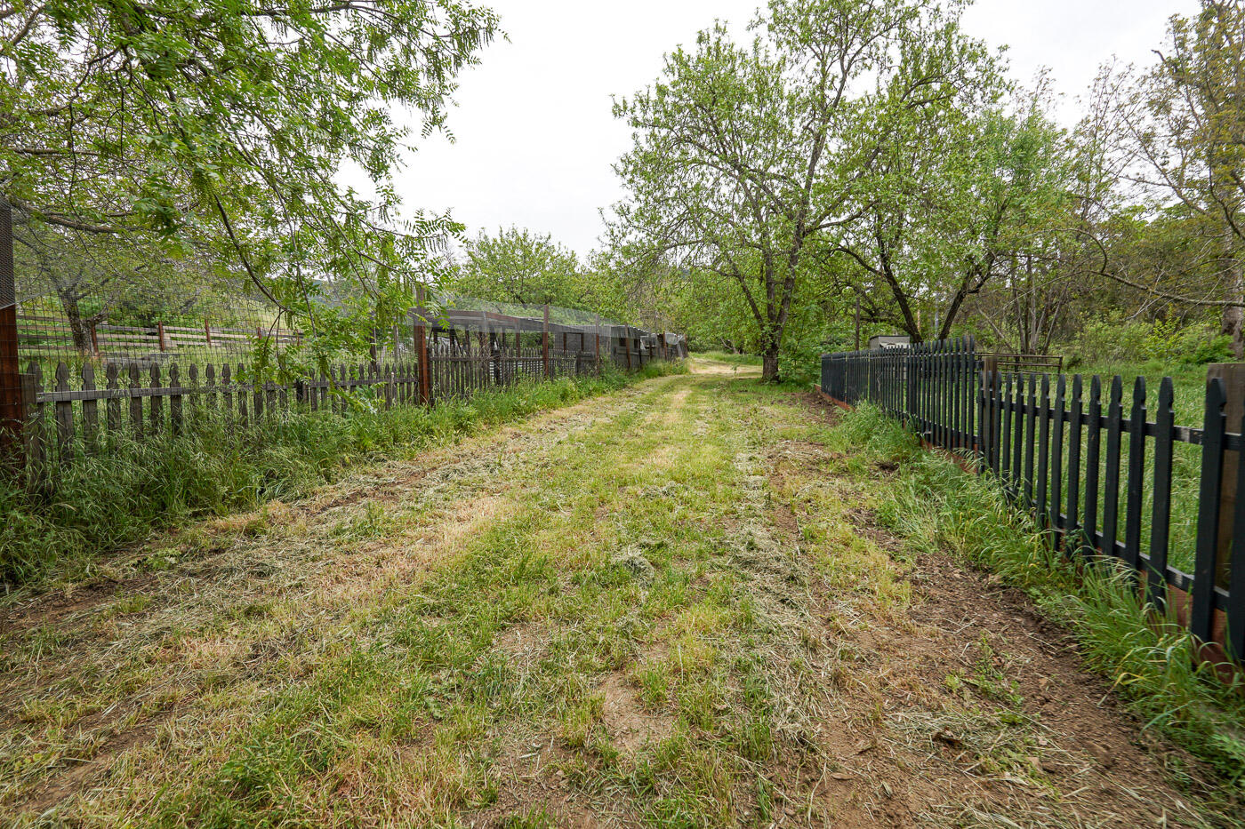 main property photo 60