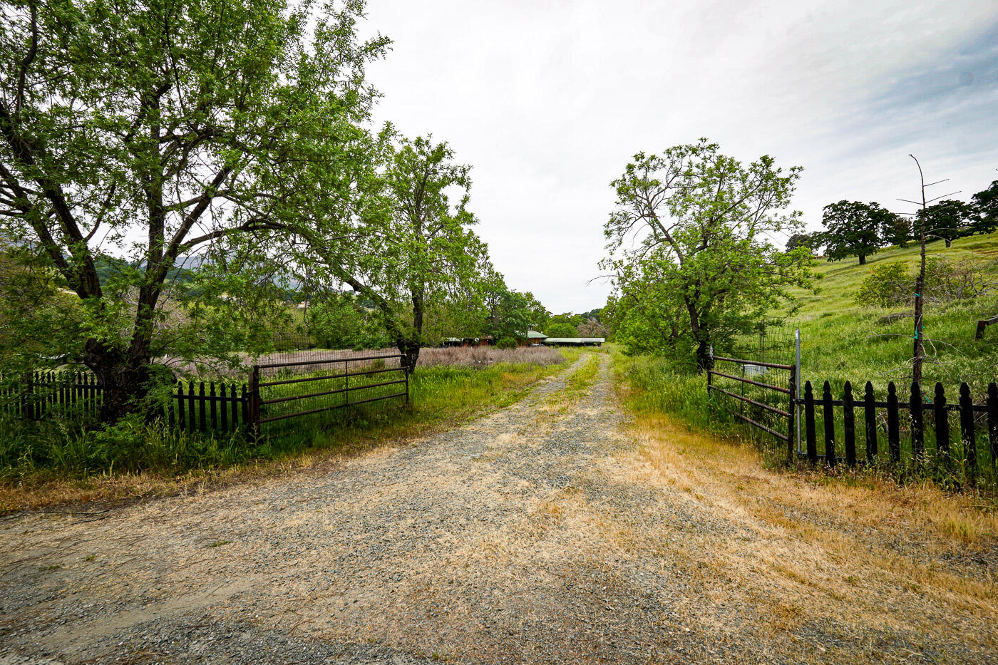 main property photo 61