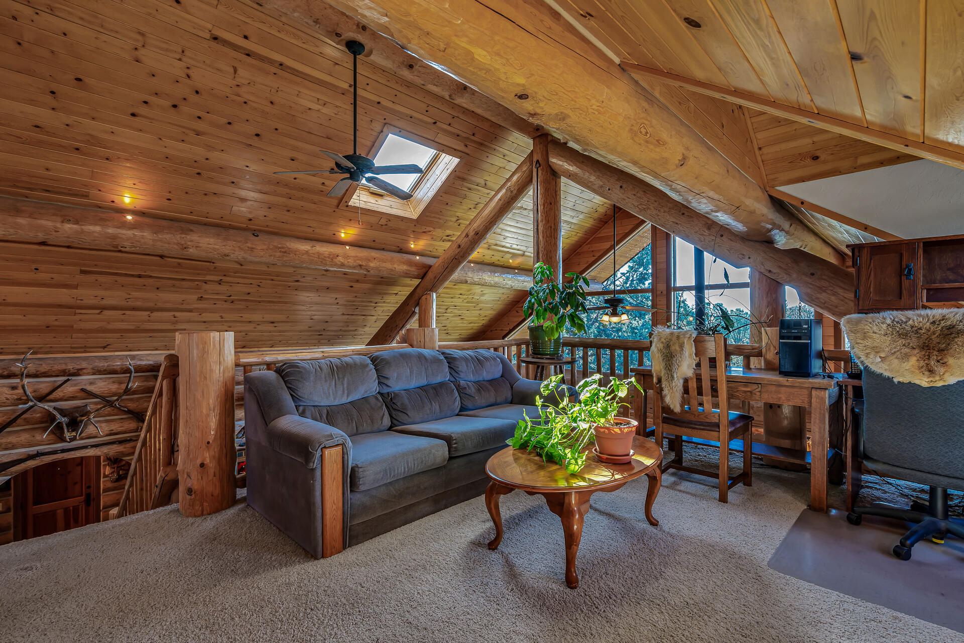 main property photo 53