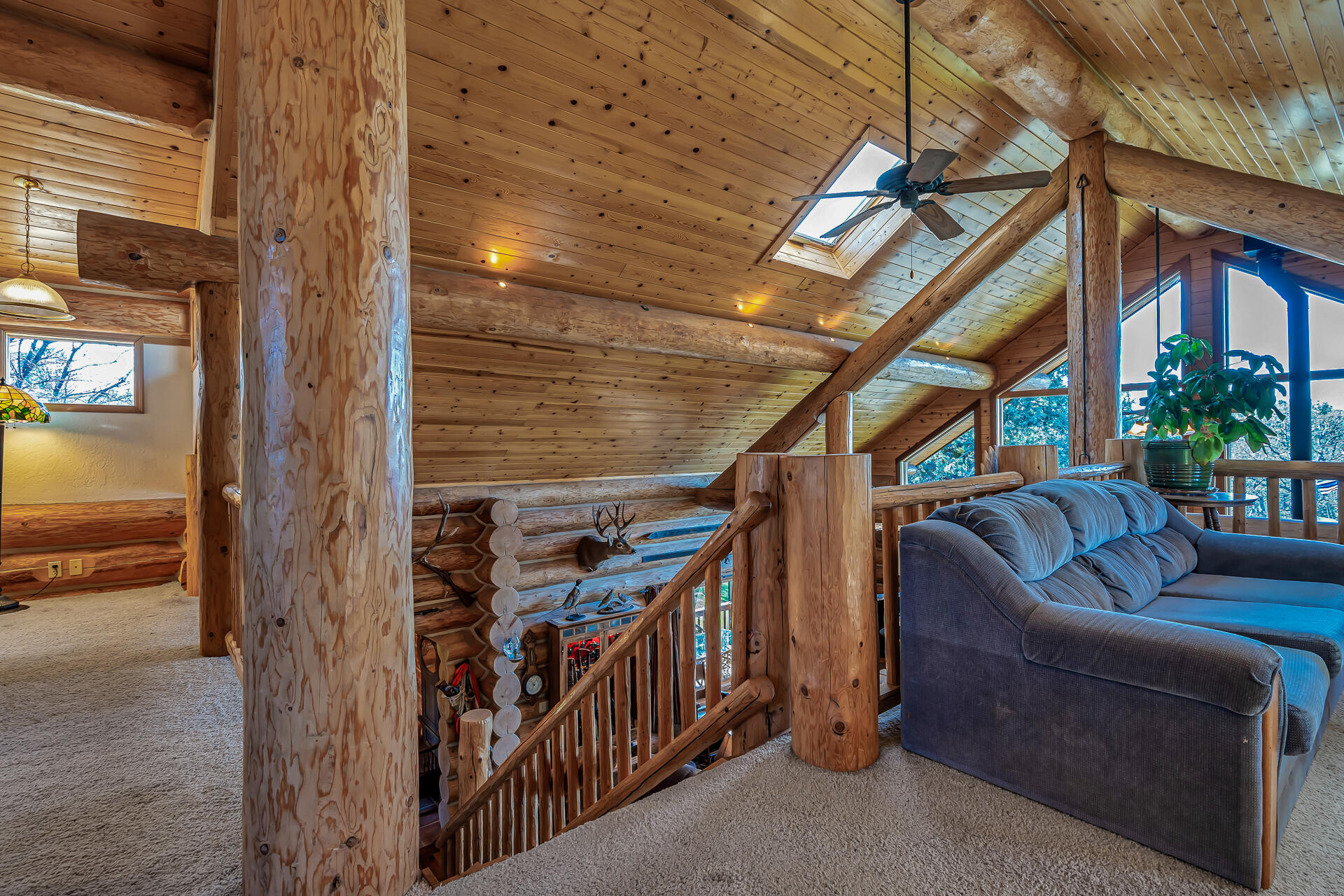 main property photo 61