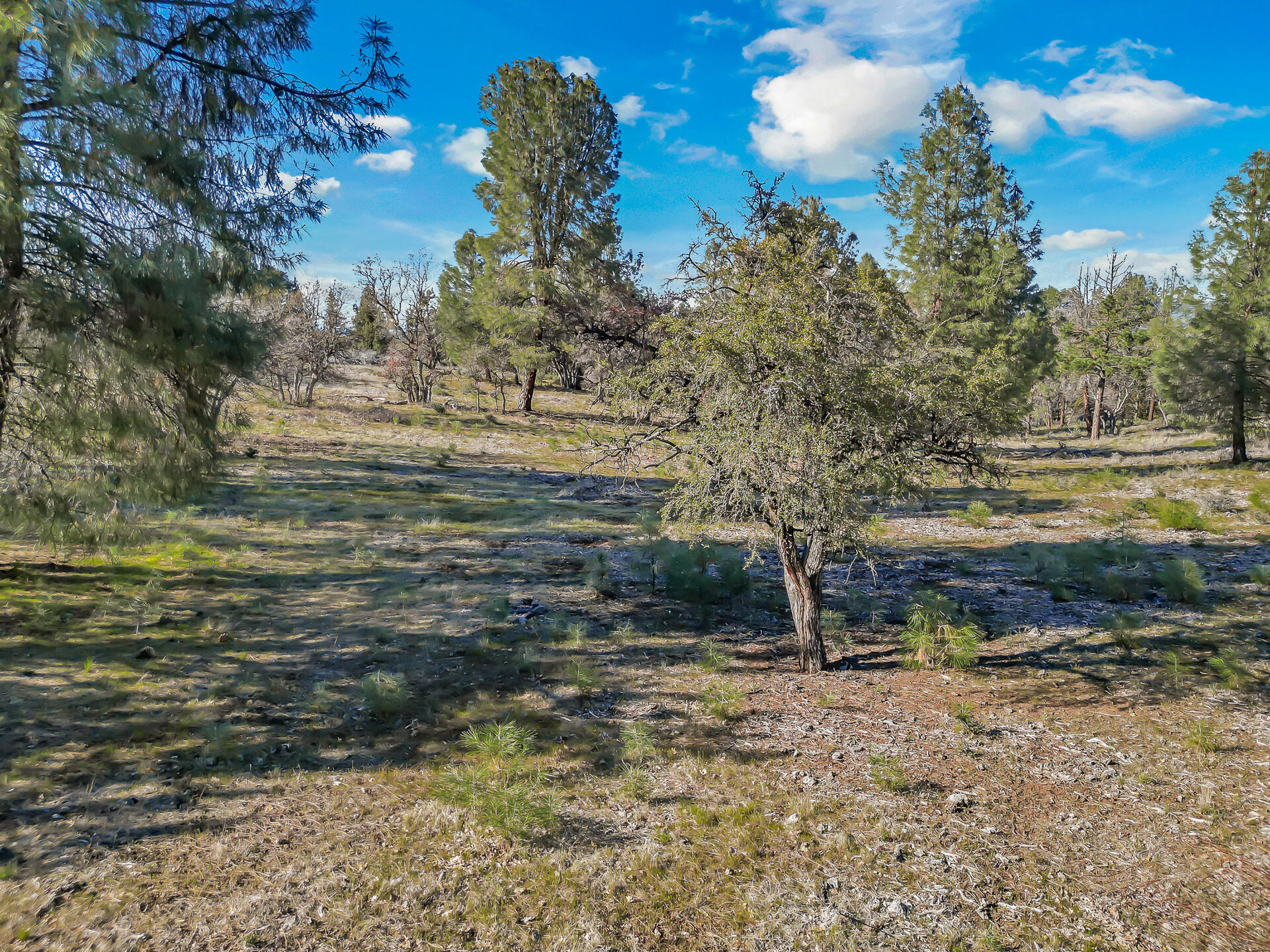 main property photo 85