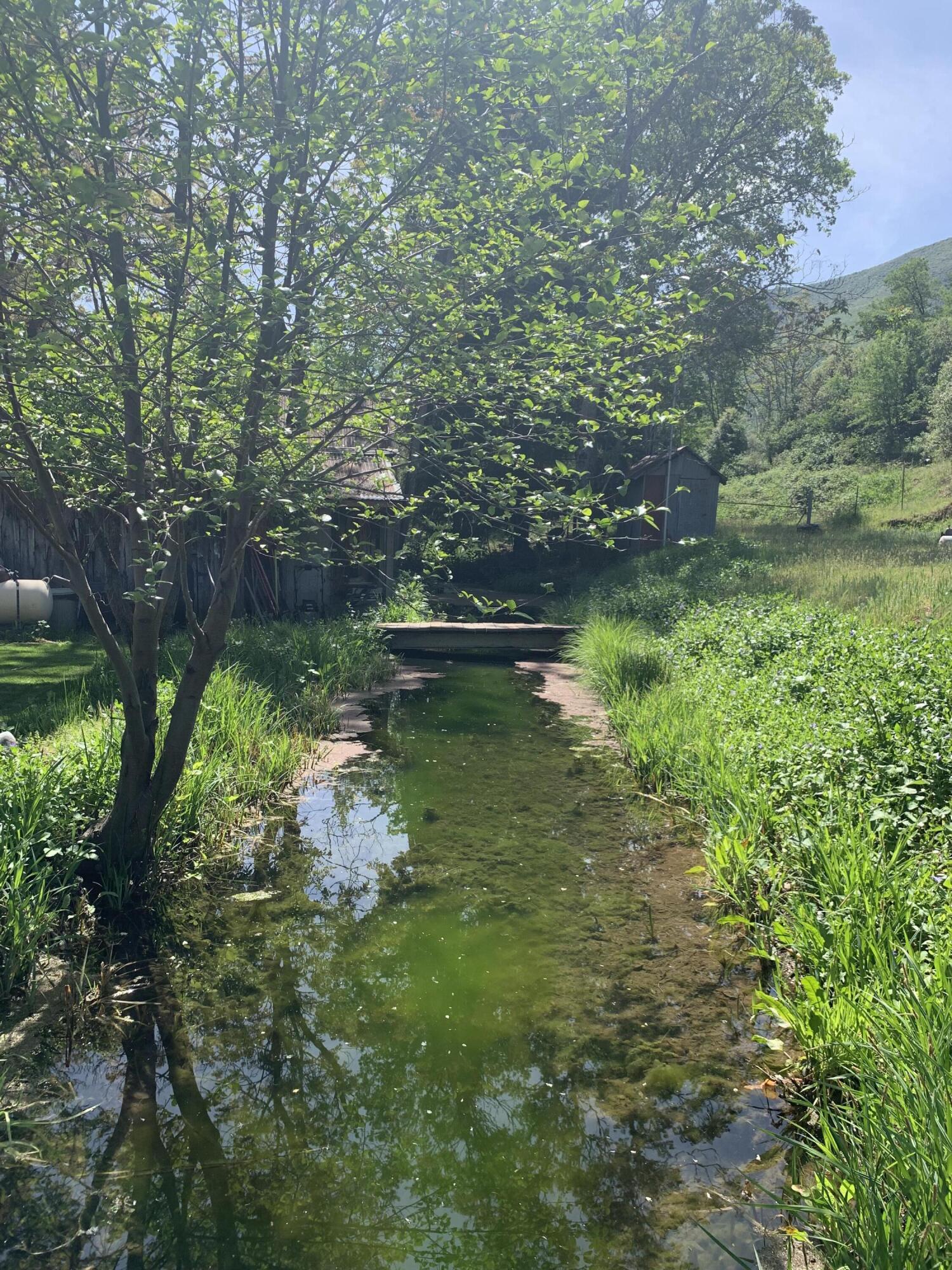 main property photo 21