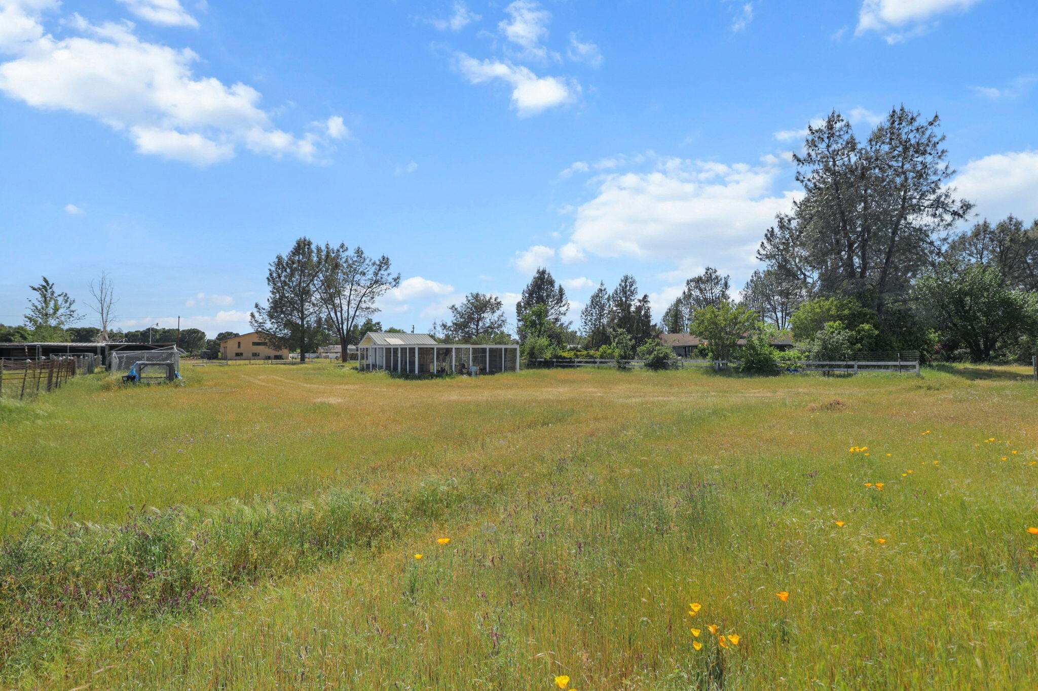 main property photo 78