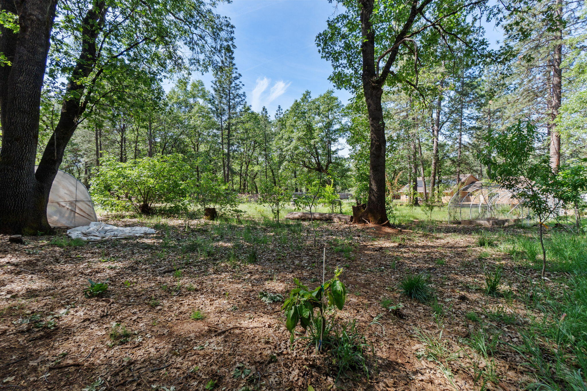 main property photo 55