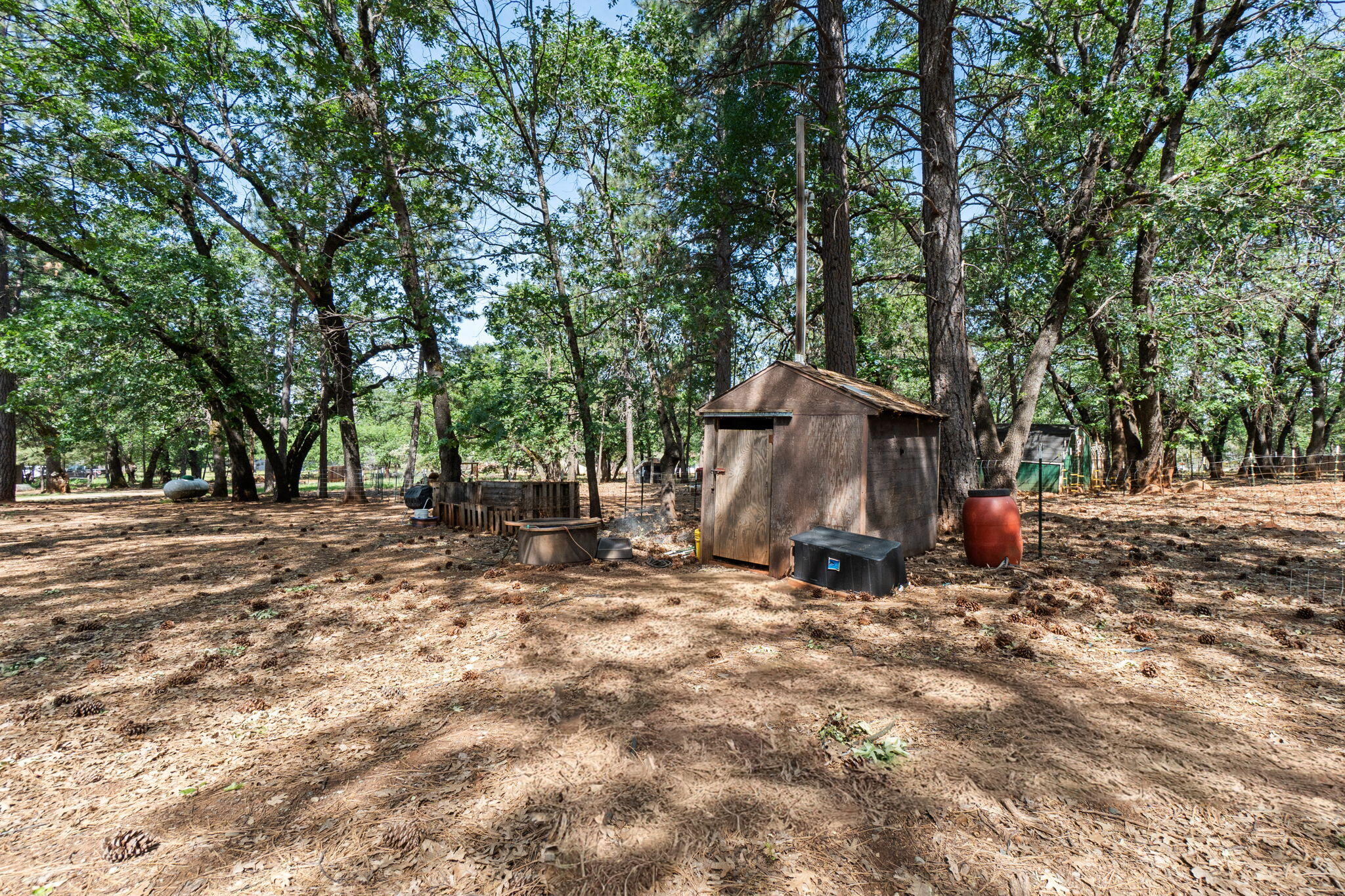 main property photo 56