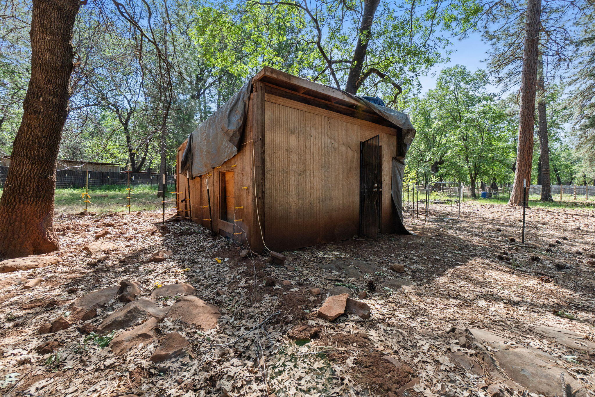 main property photo 57