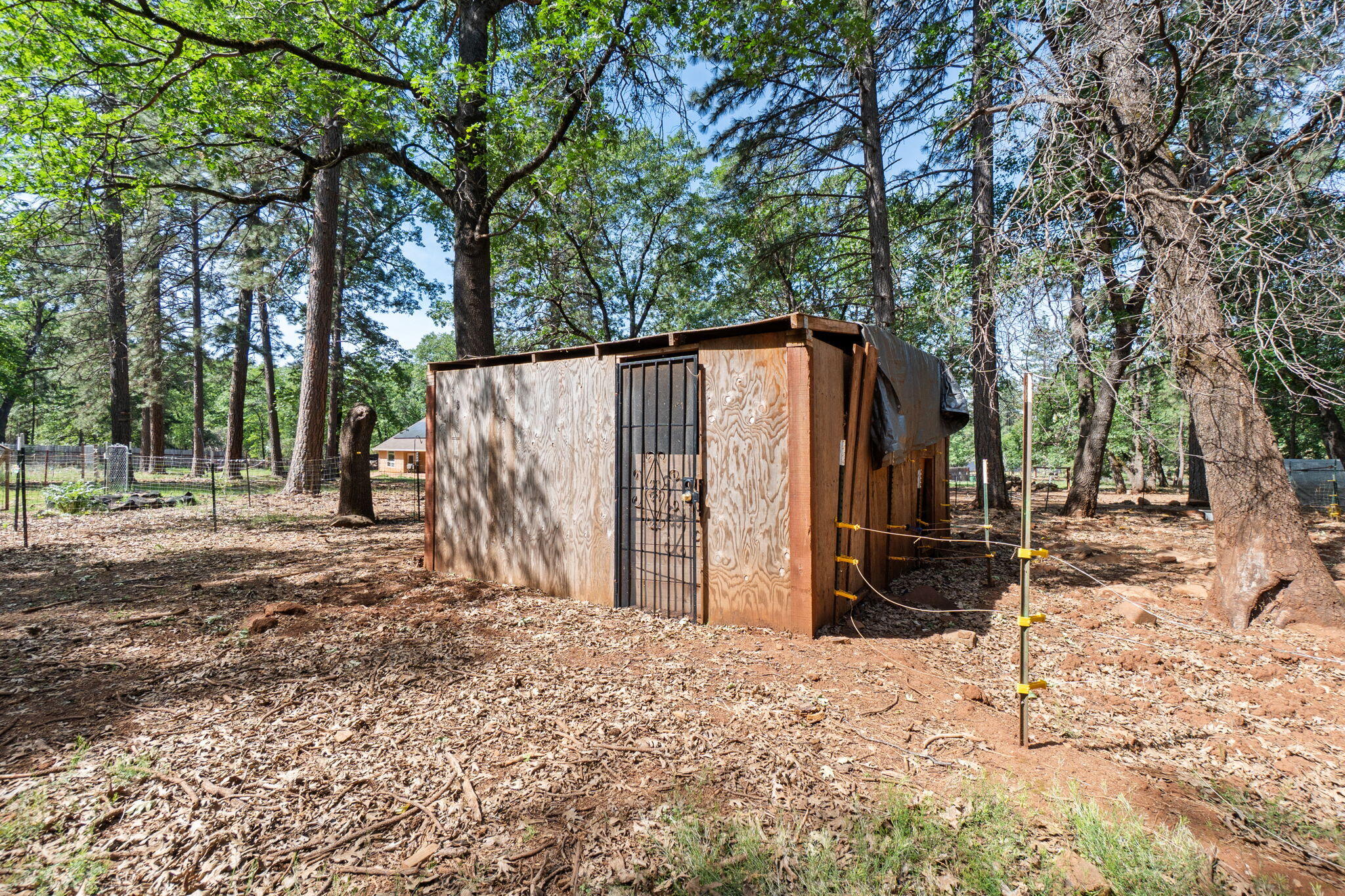 main property photo 58