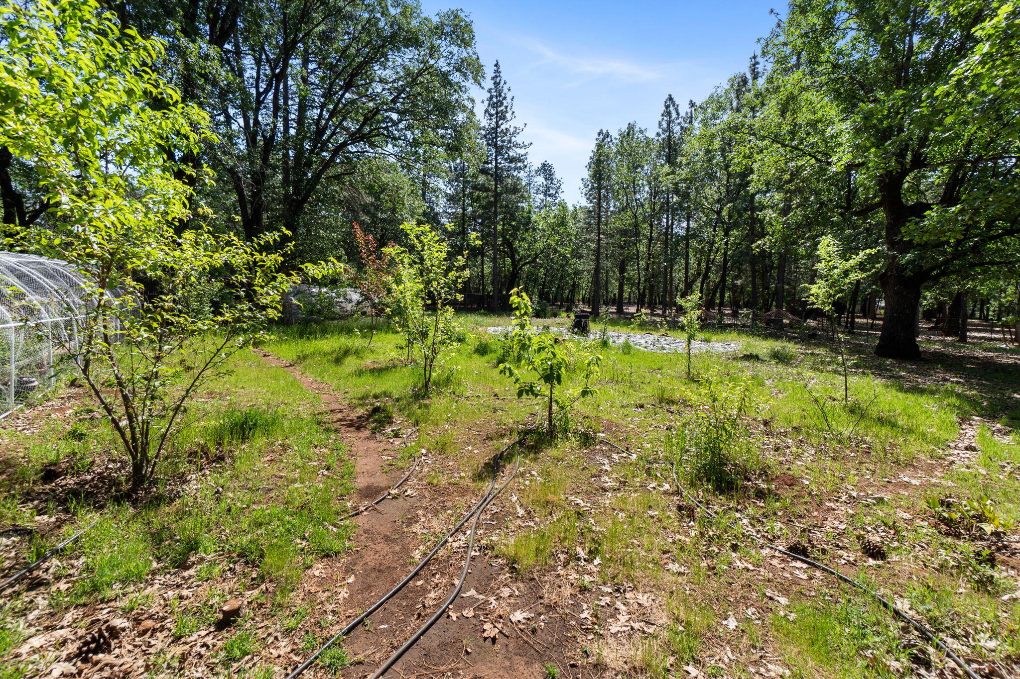 main property photo 60