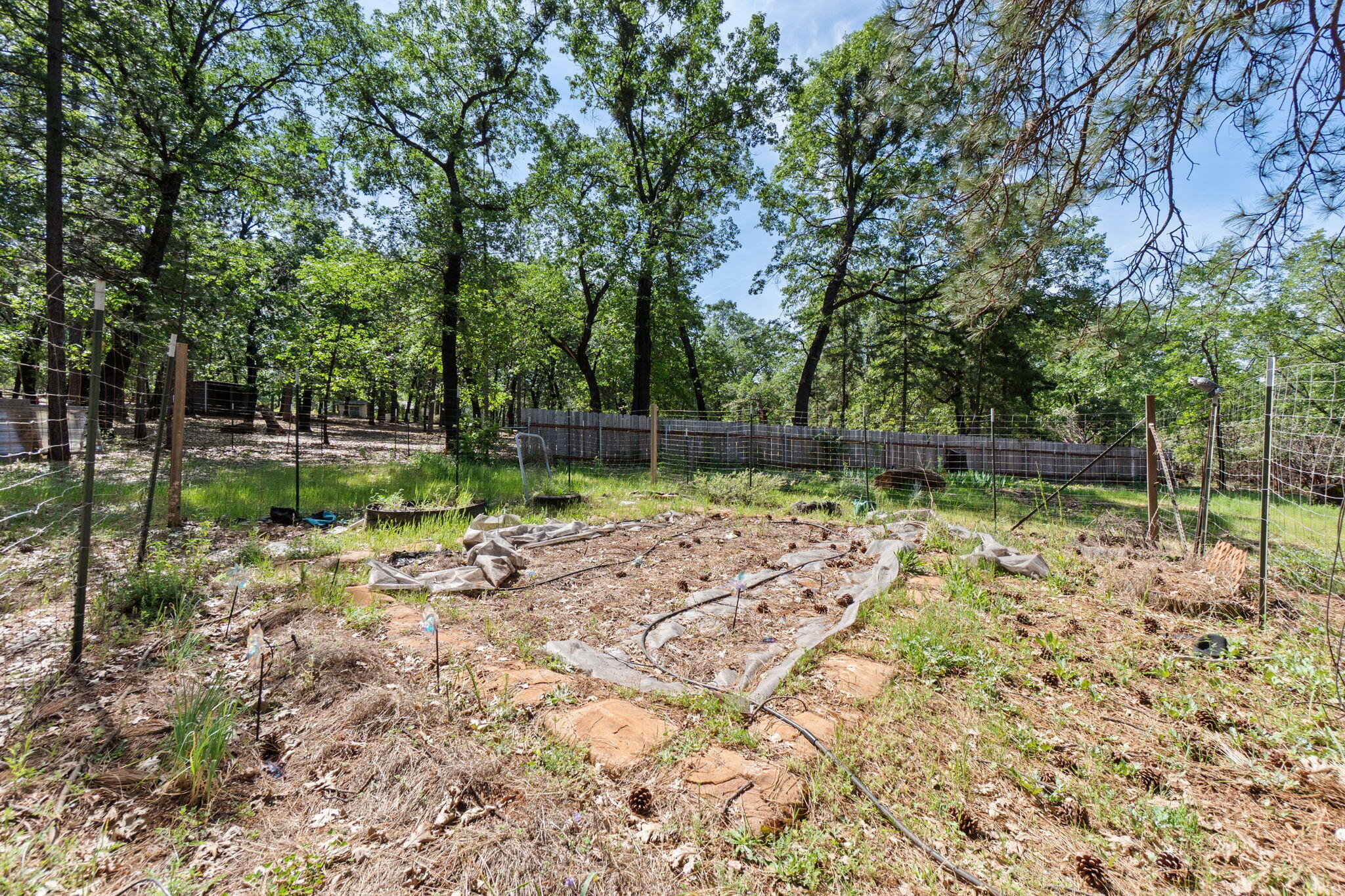 main property photo 61