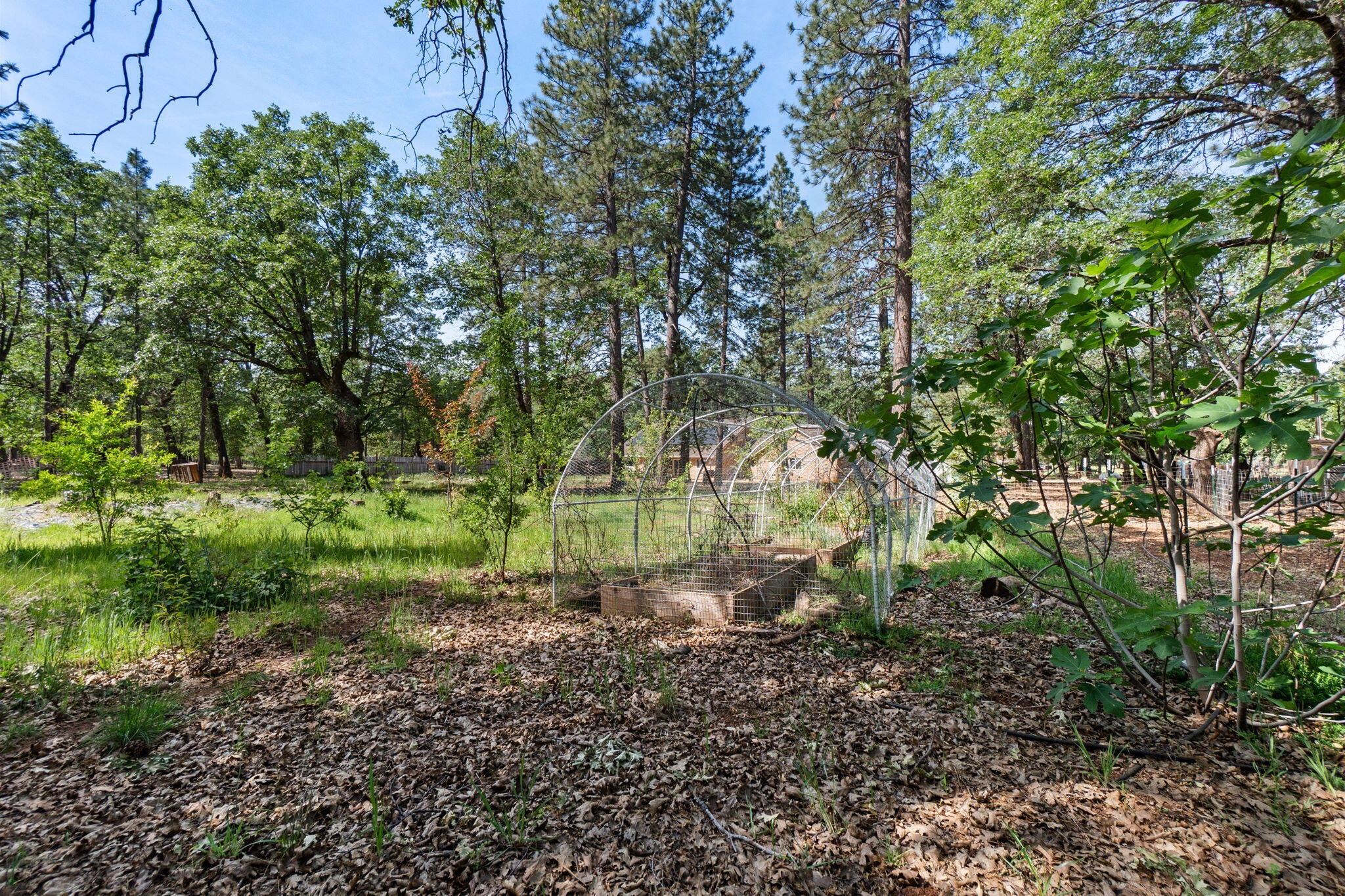 main property photo 62