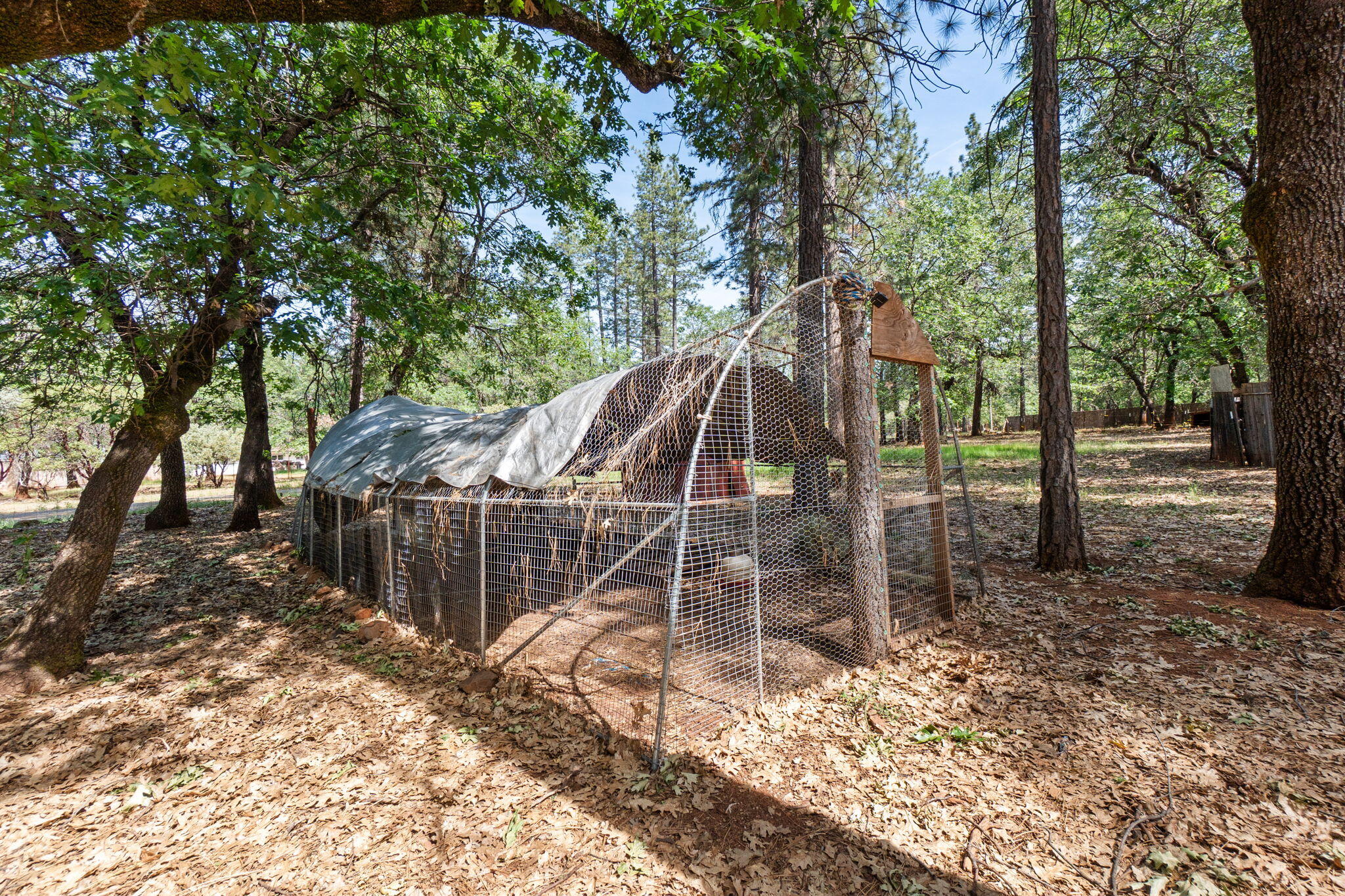 main property photo 63