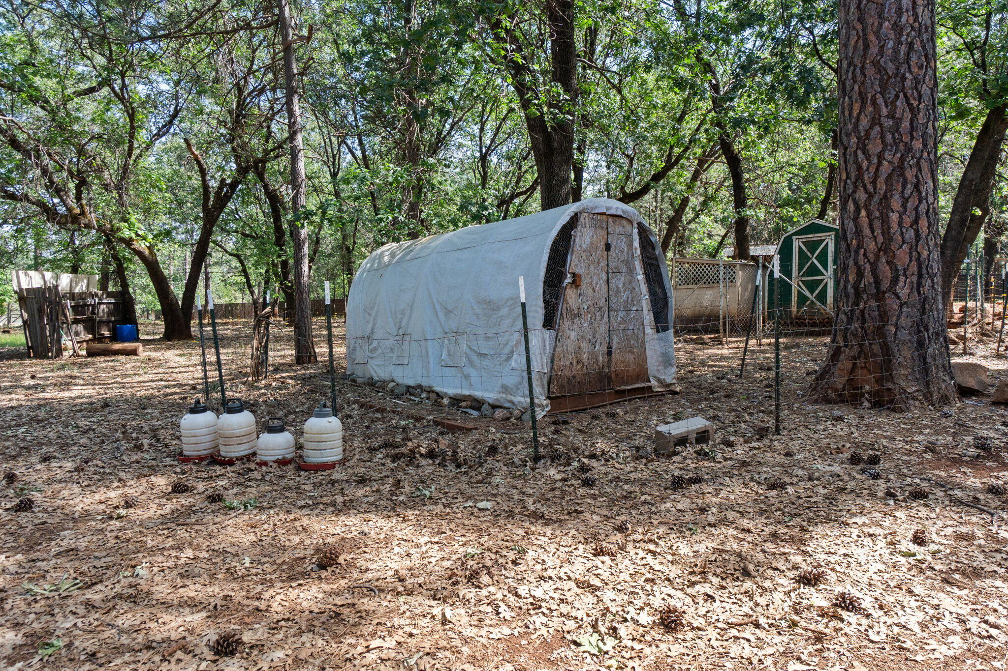 main property photo 64