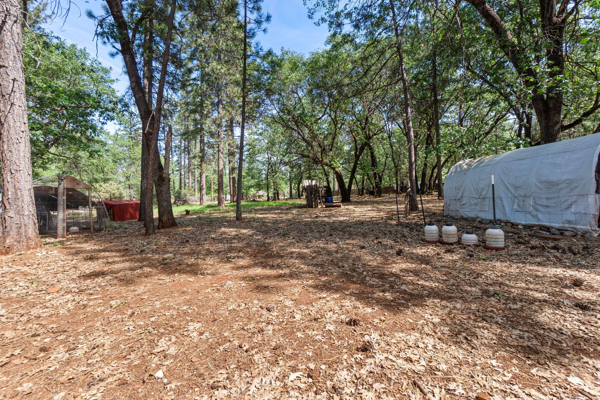 main property photo 65