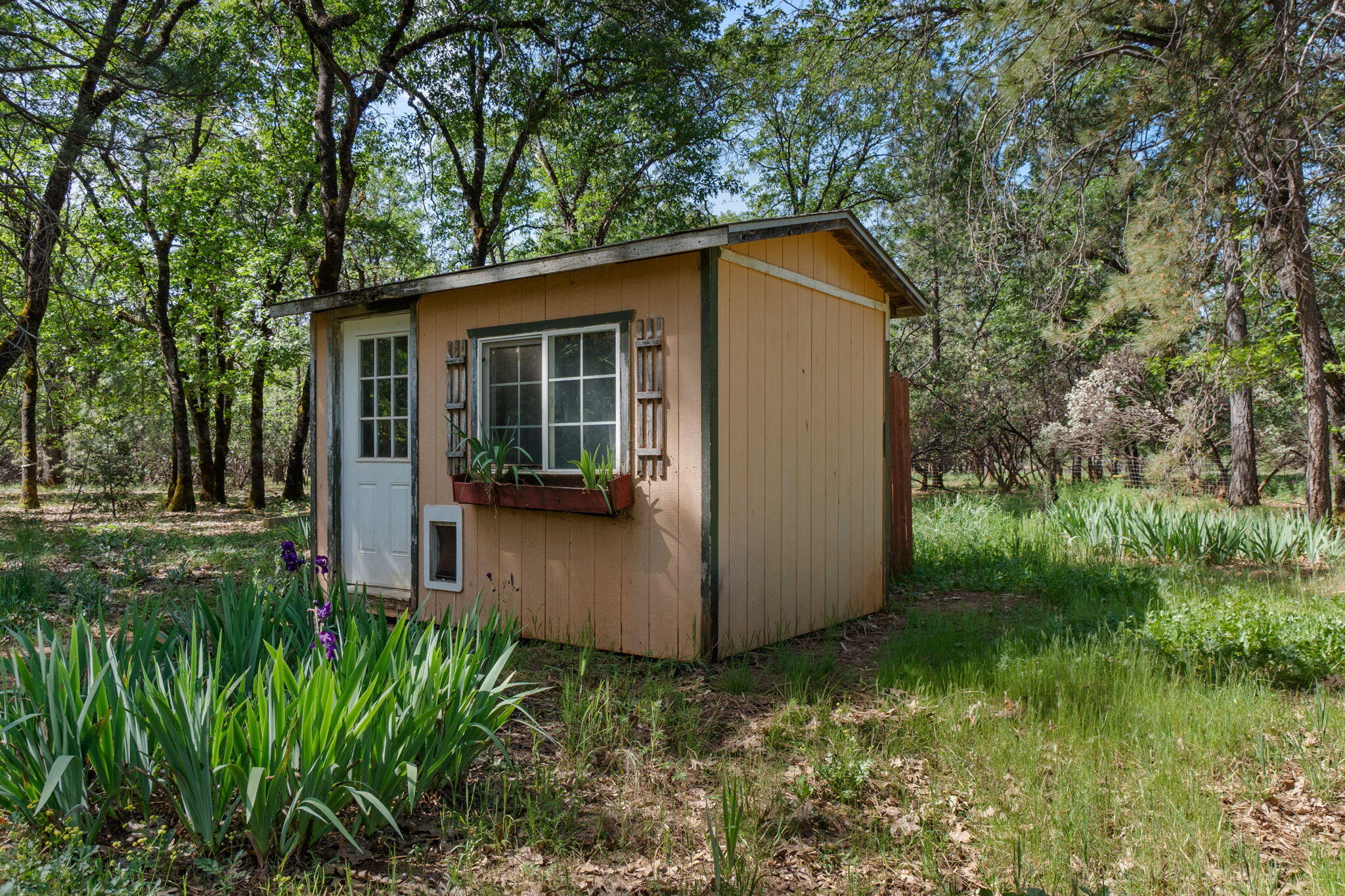 main property photo 72