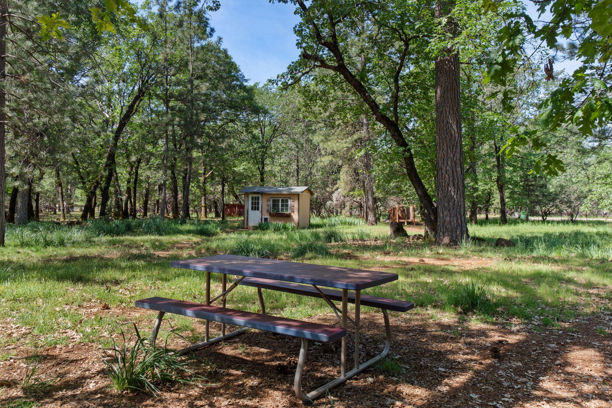 main property photo 74