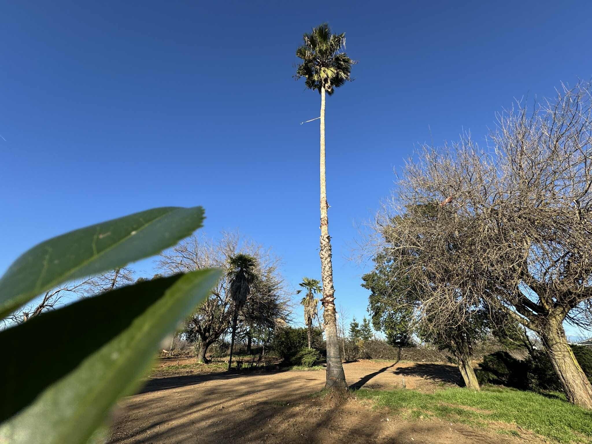 main property photo 10