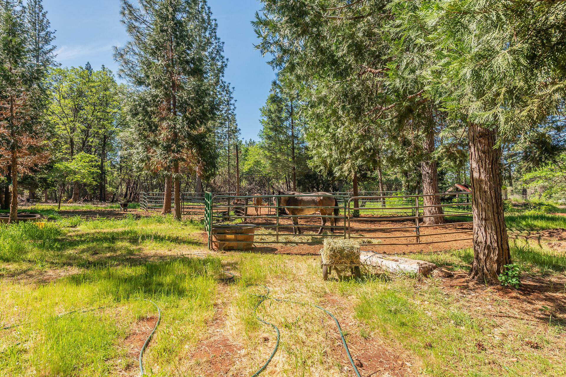 main property photo 33