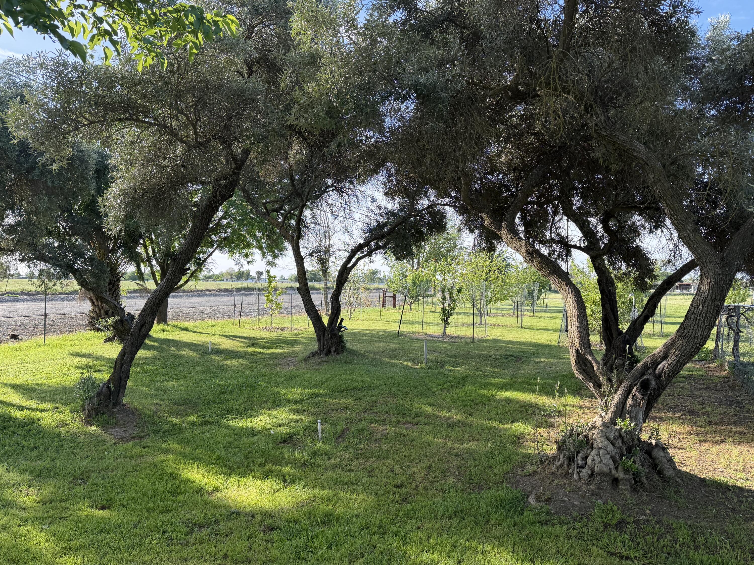 main property photo 11