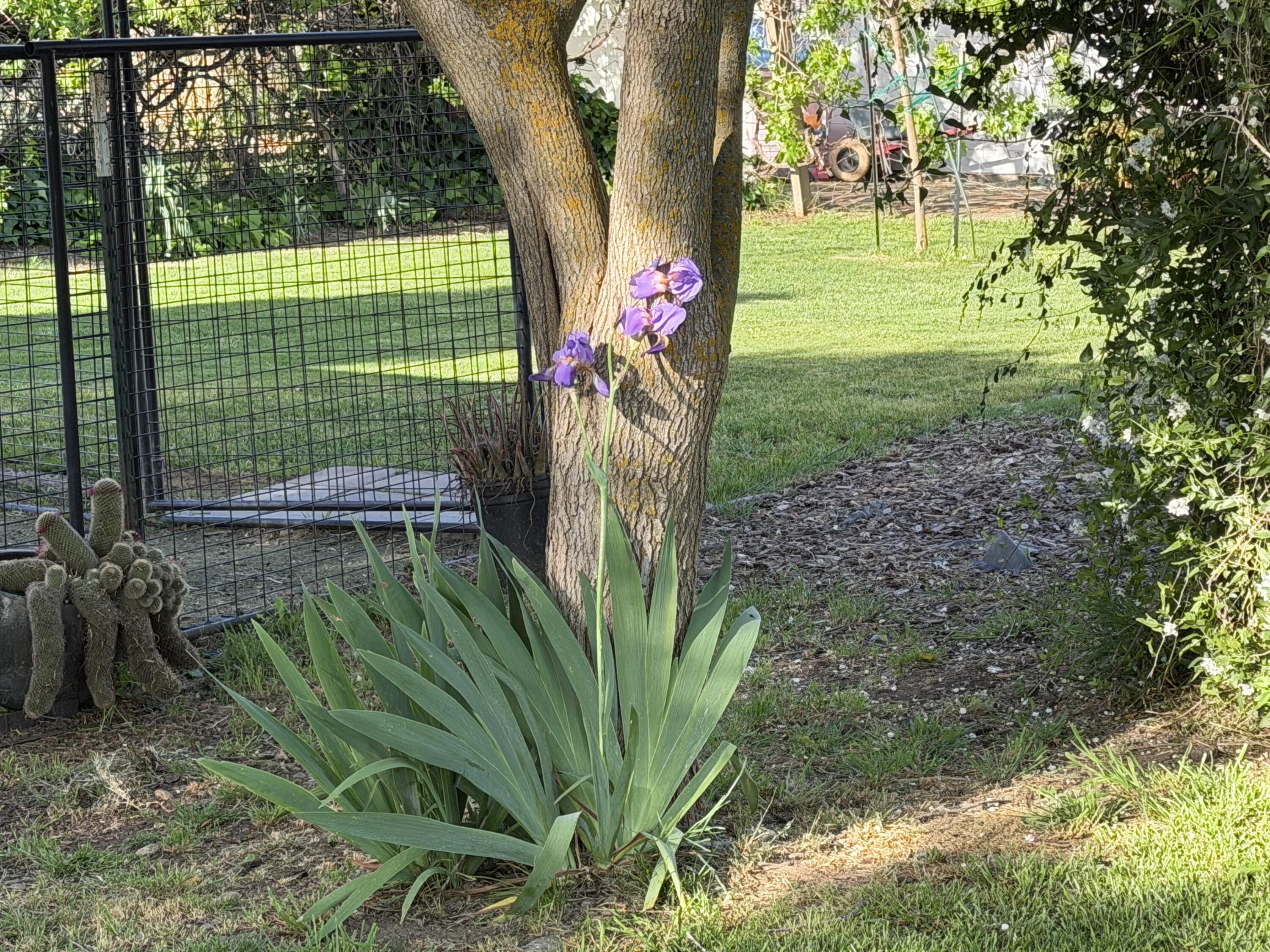main property photo 20
