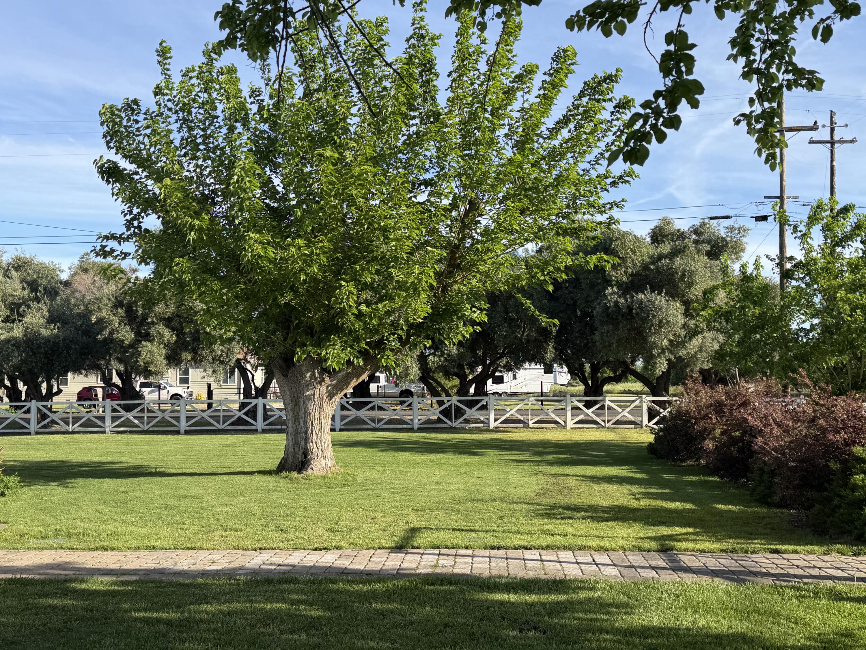 main property photo 4