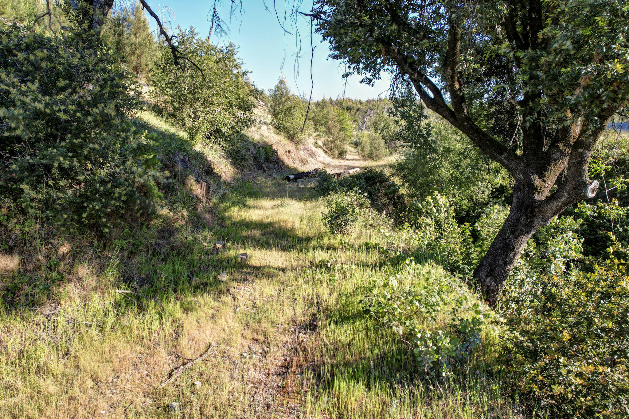 main property photo 6