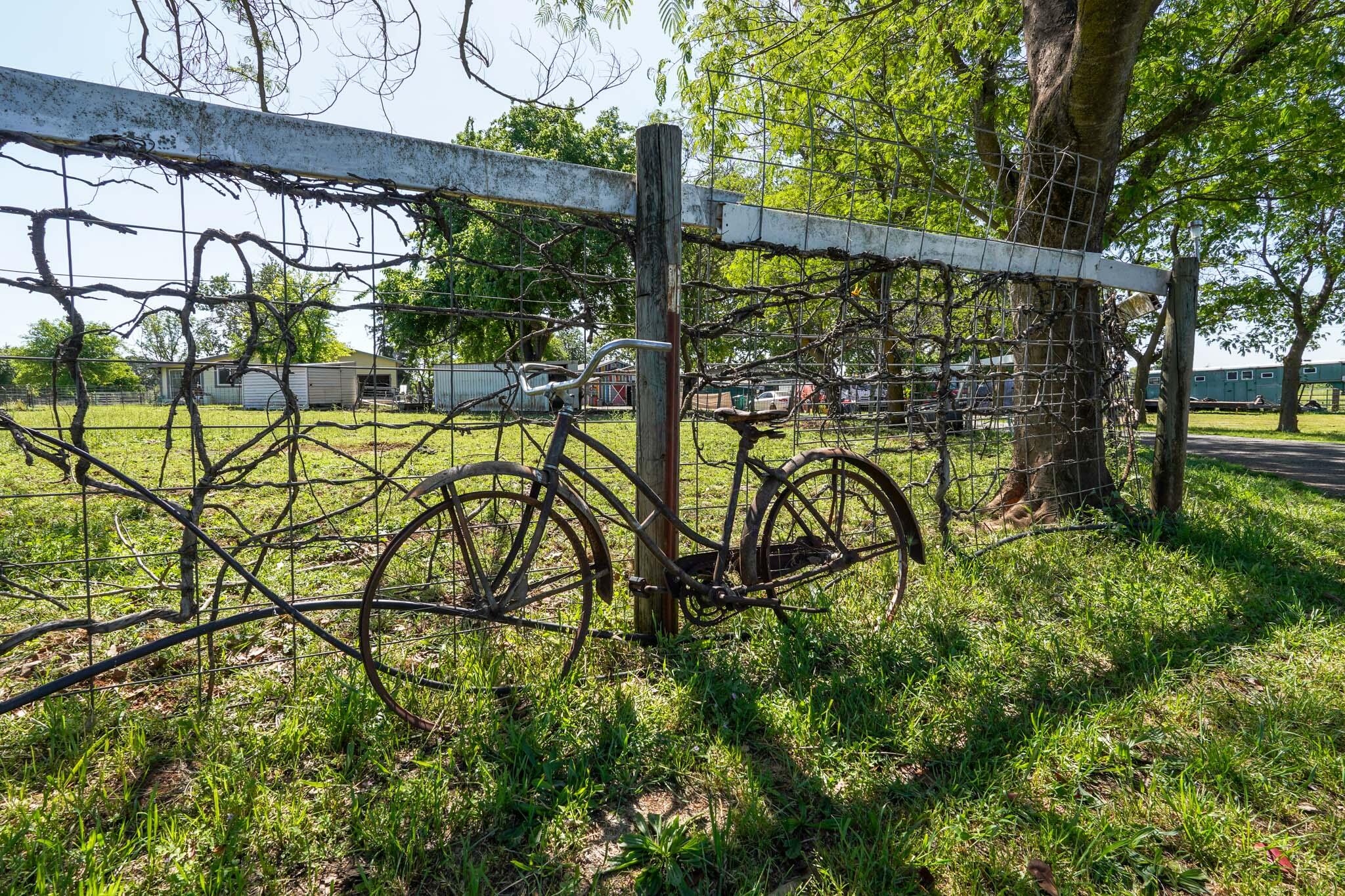 main property photo 4