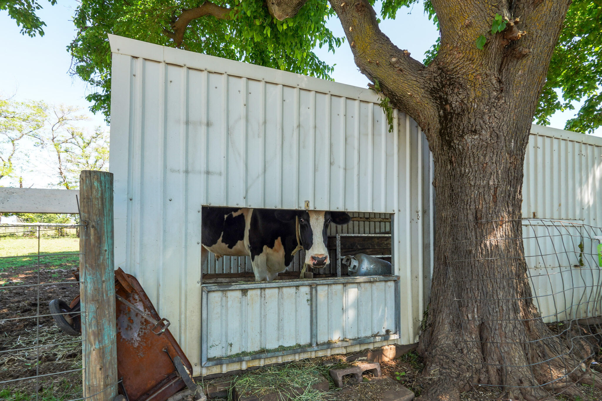 main property photo 40