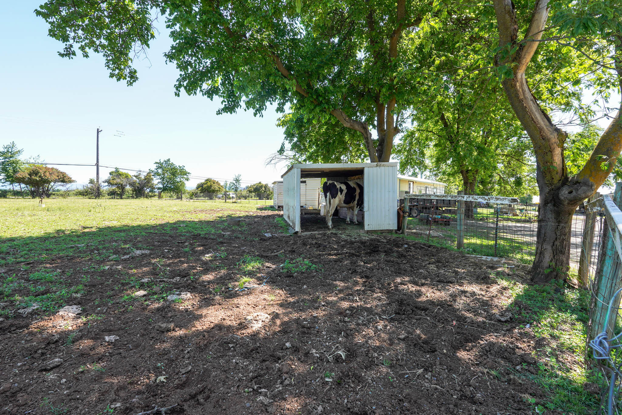 main property photo 41