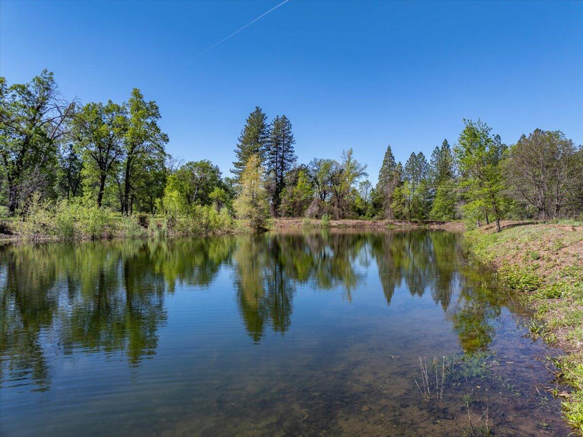 main property photo 101