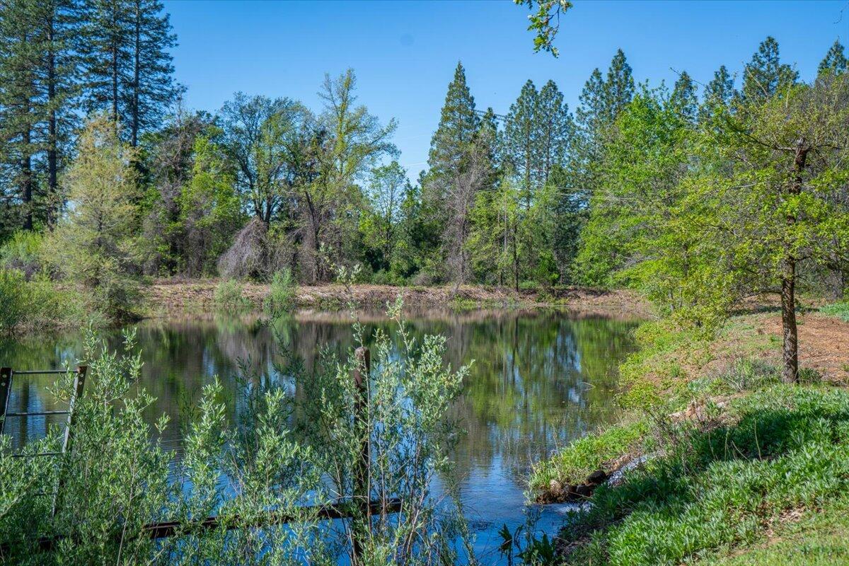 main property photo 139