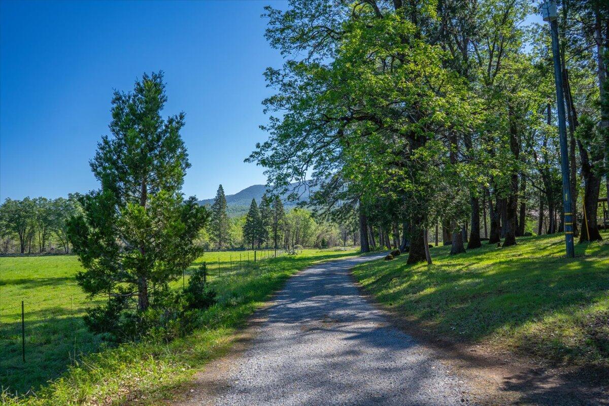 main property photo 158