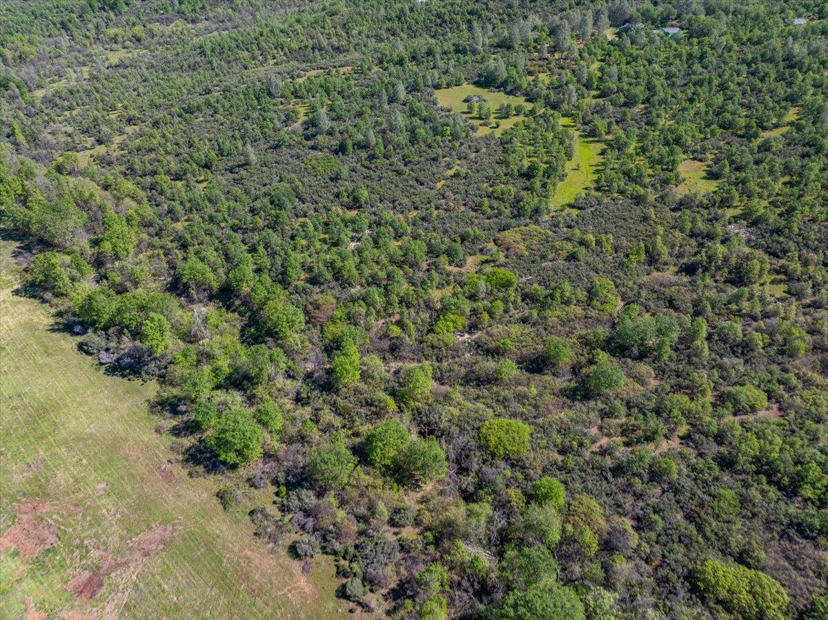 main property photo 168
