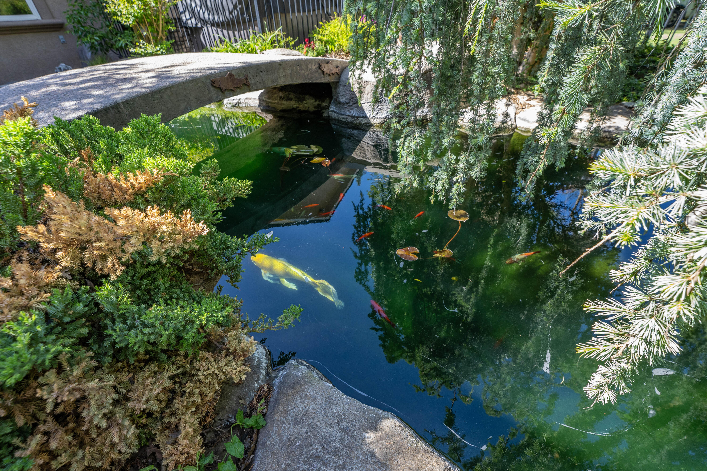 main property photo 65