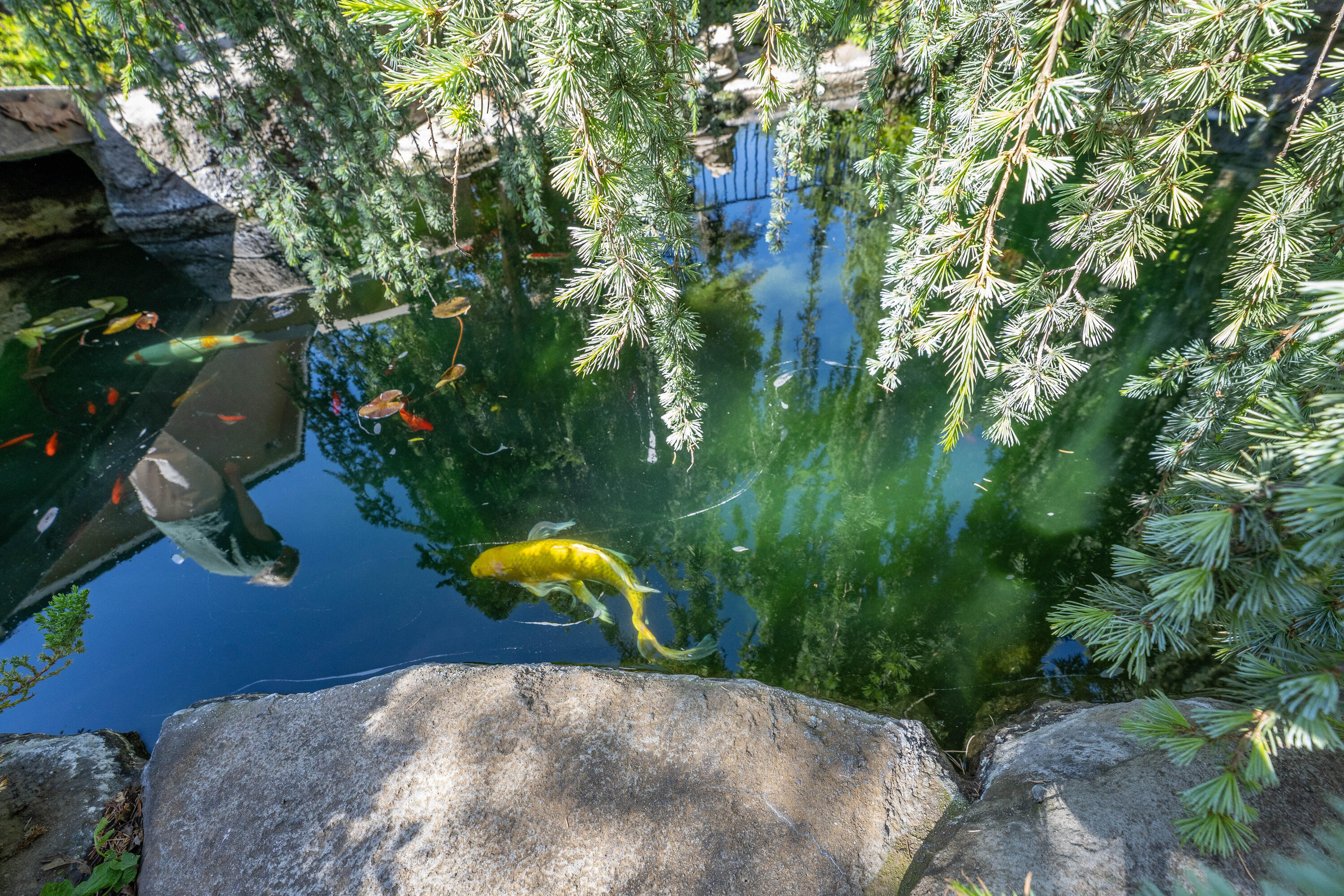 main property photo 66