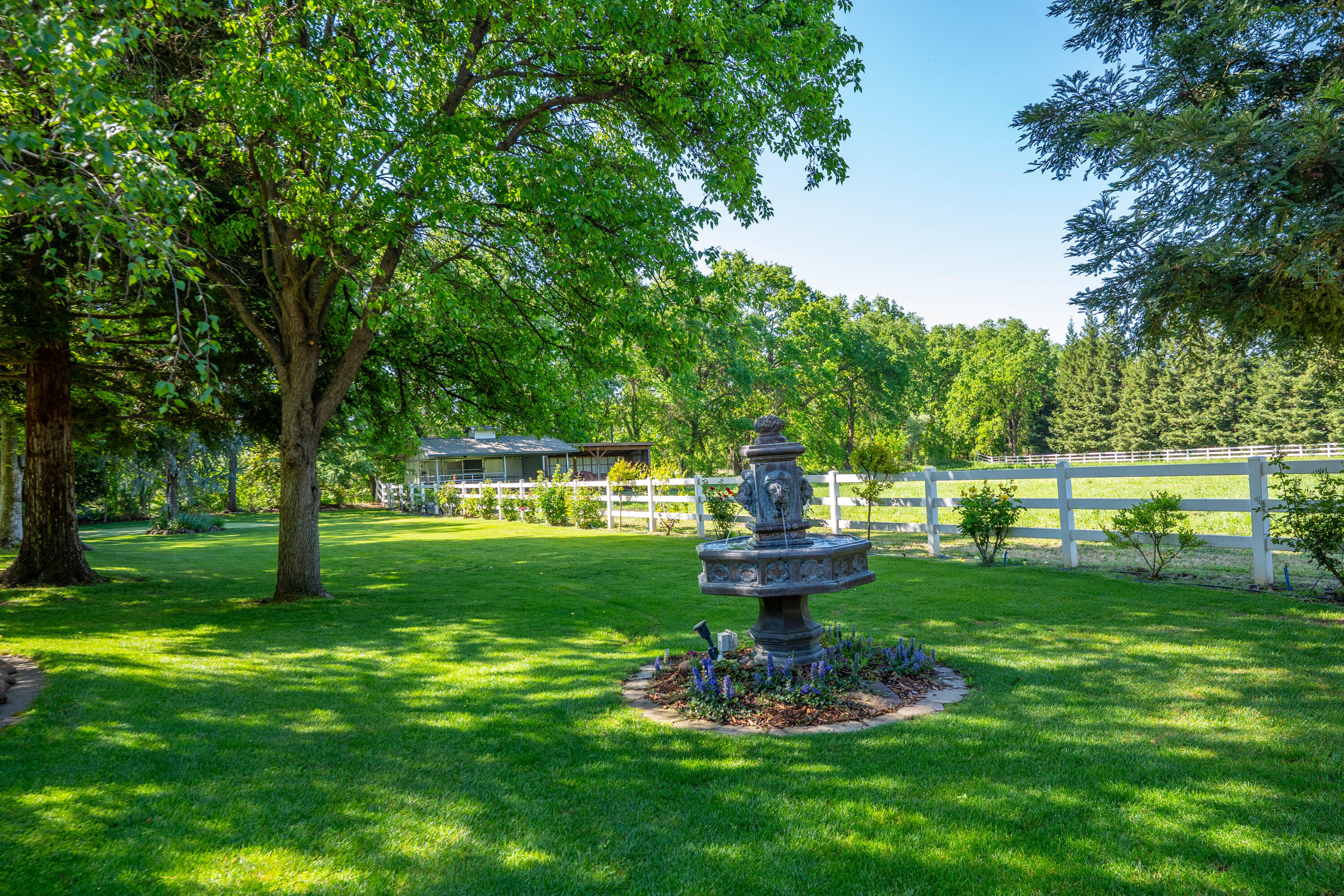 main property photo 67