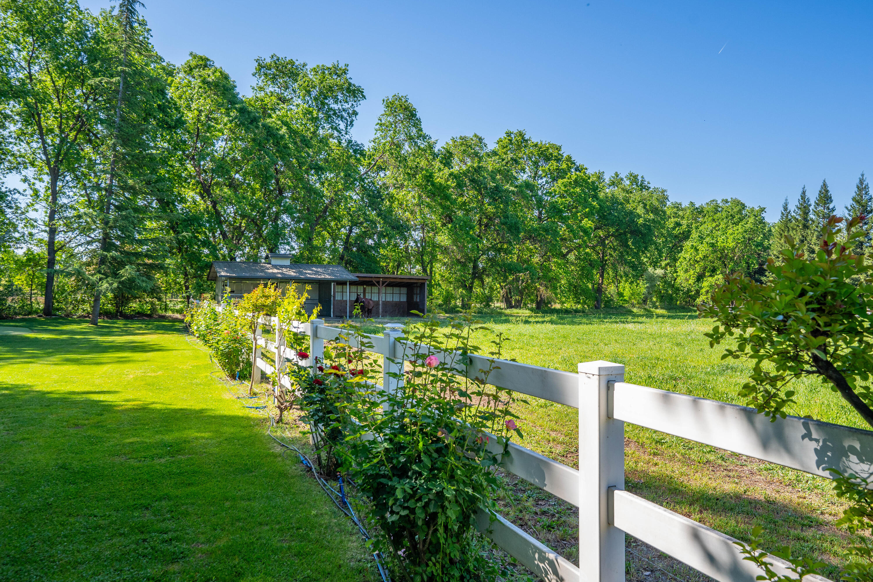 main property photo 71