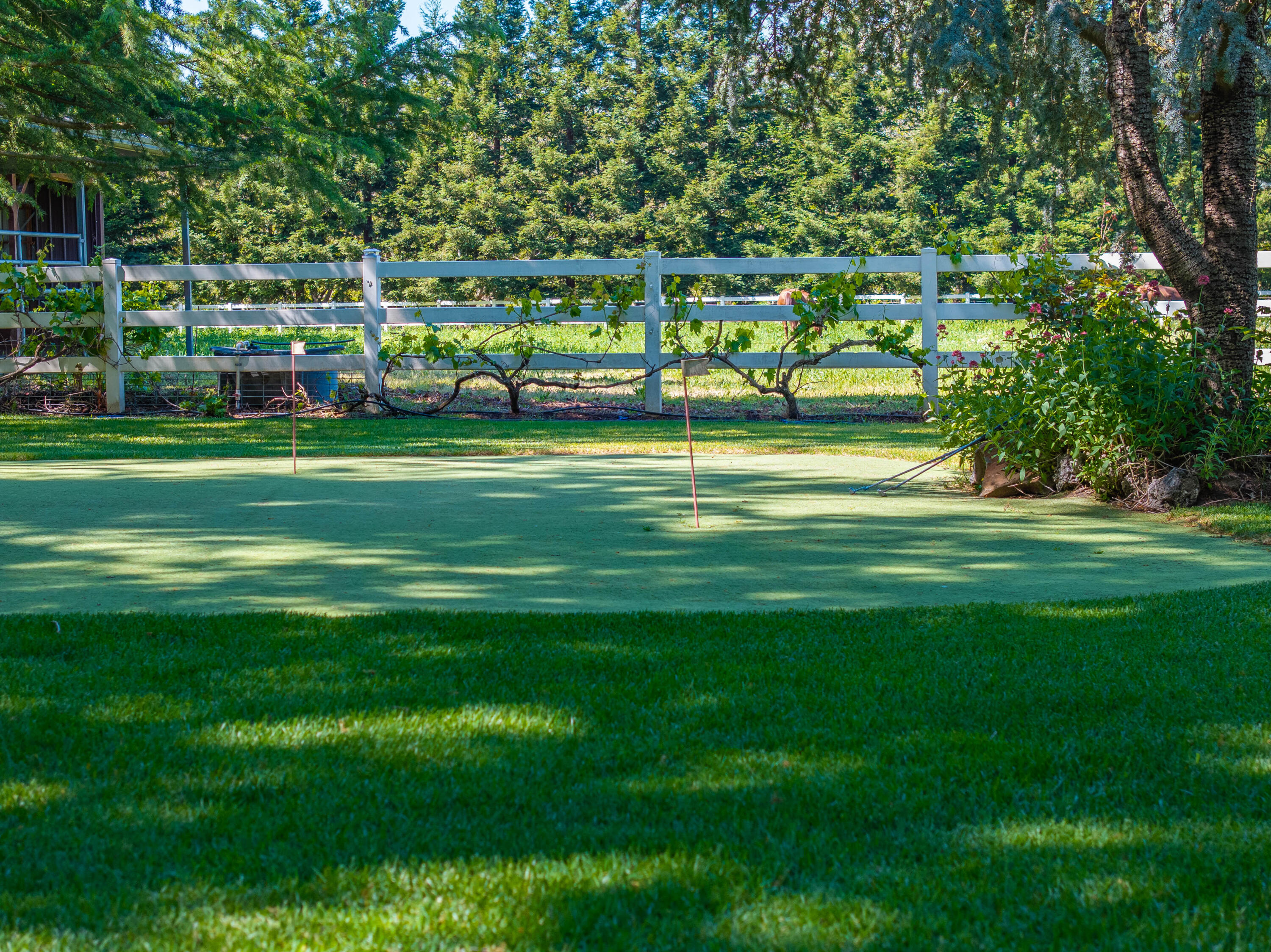 main property photo 74