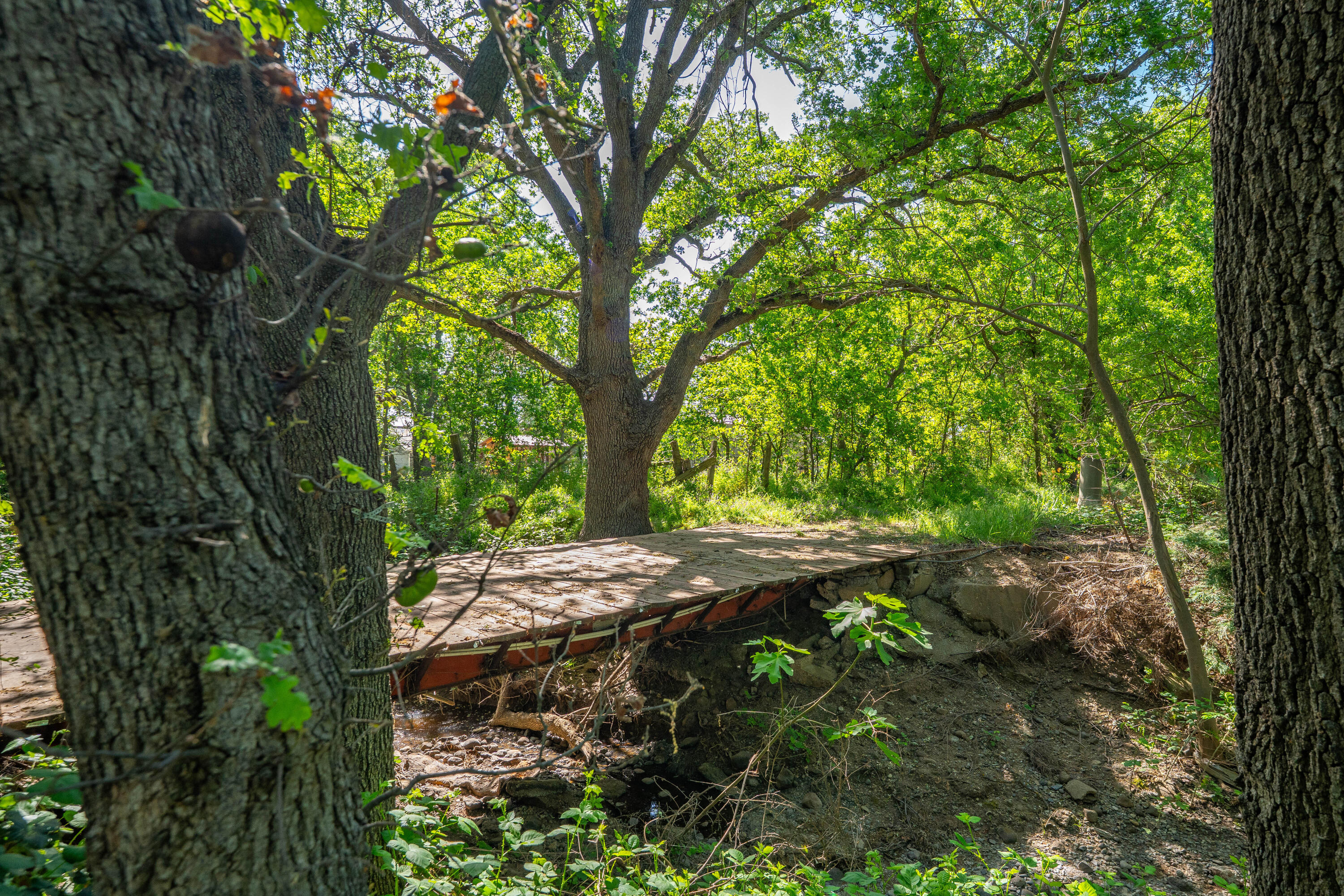 main property photo 75
