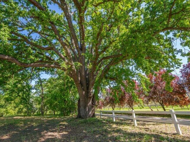 main property photo 76