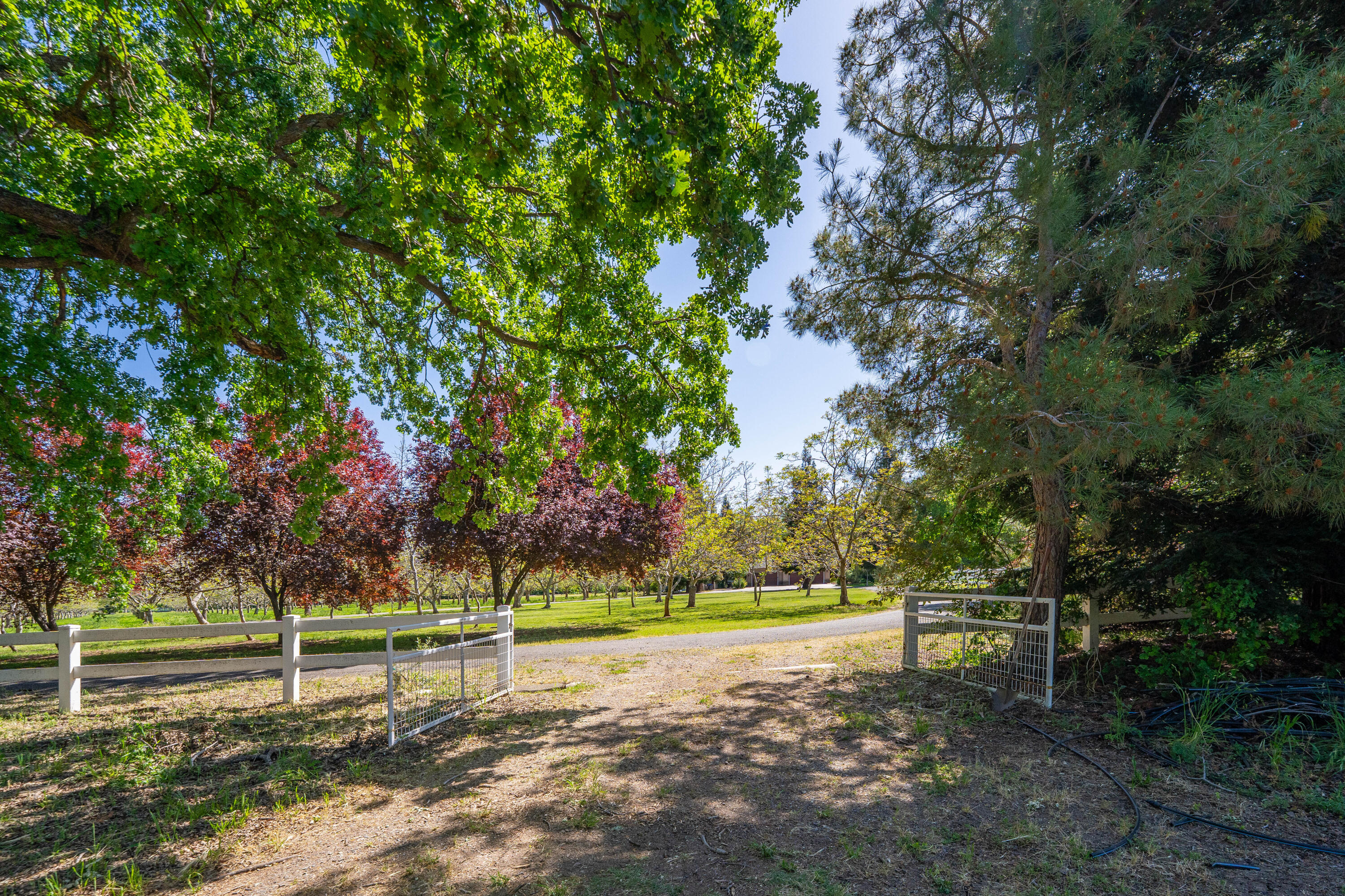 main property photo 77