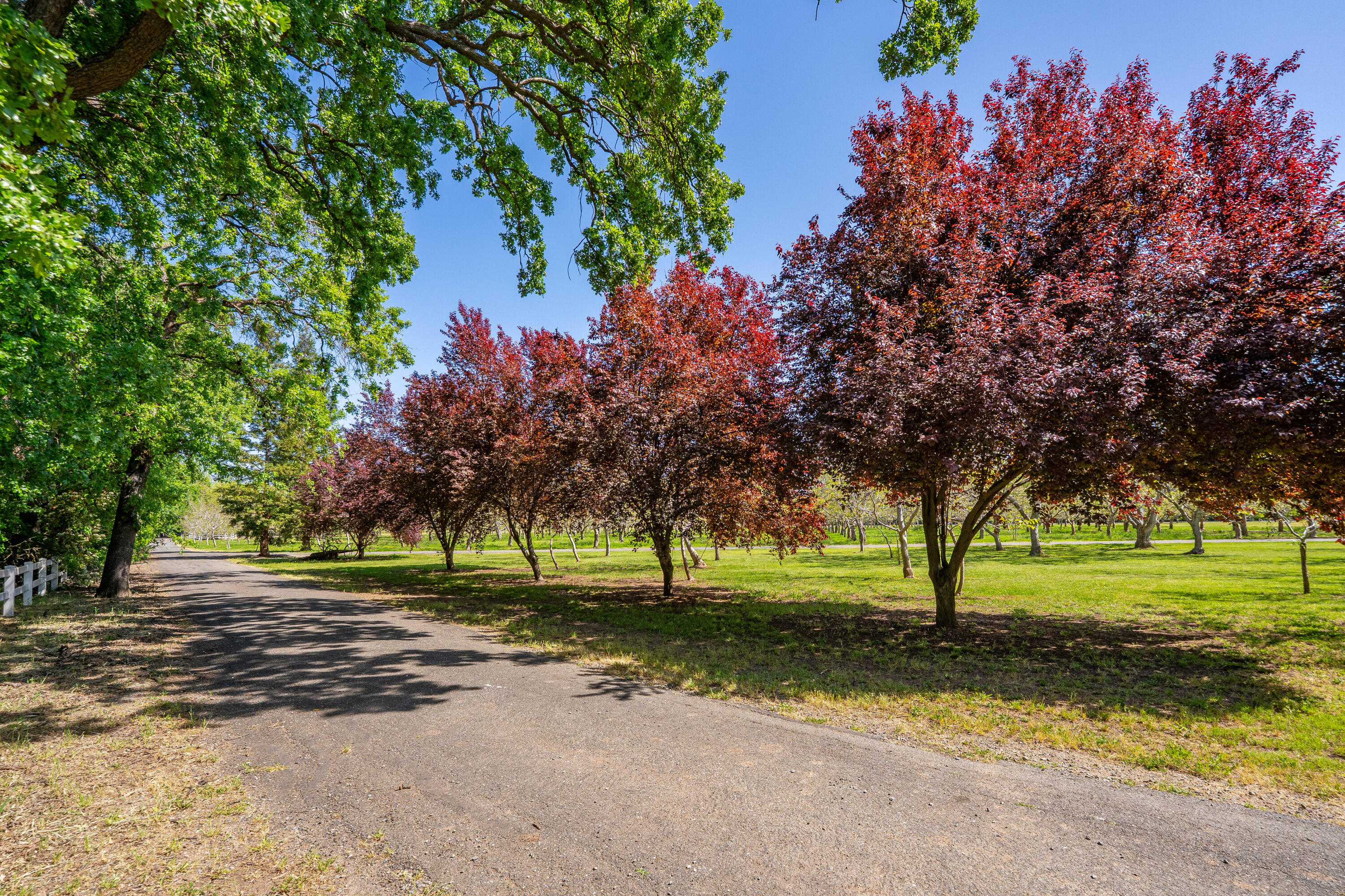 main property photo 79