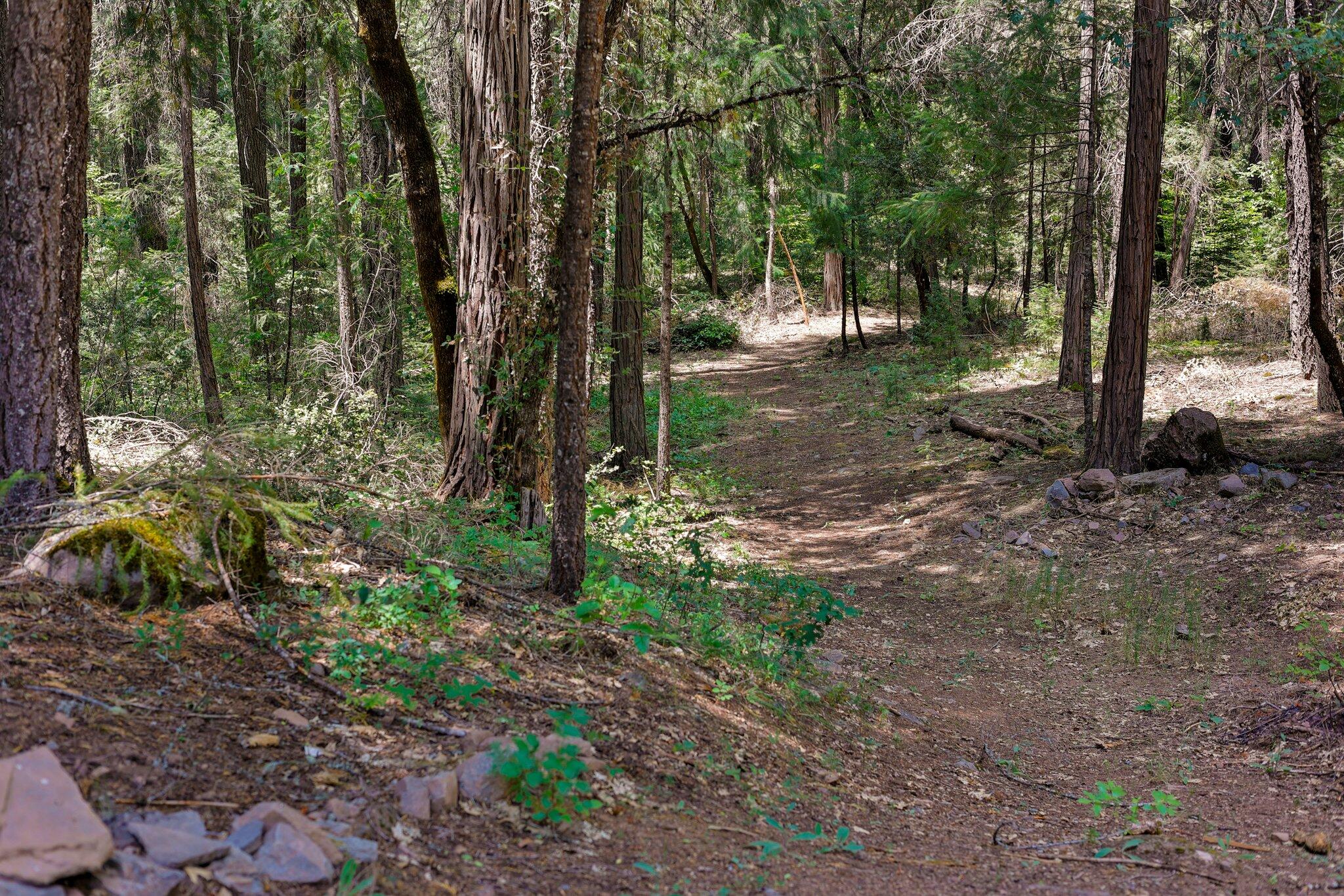 main property photo 55