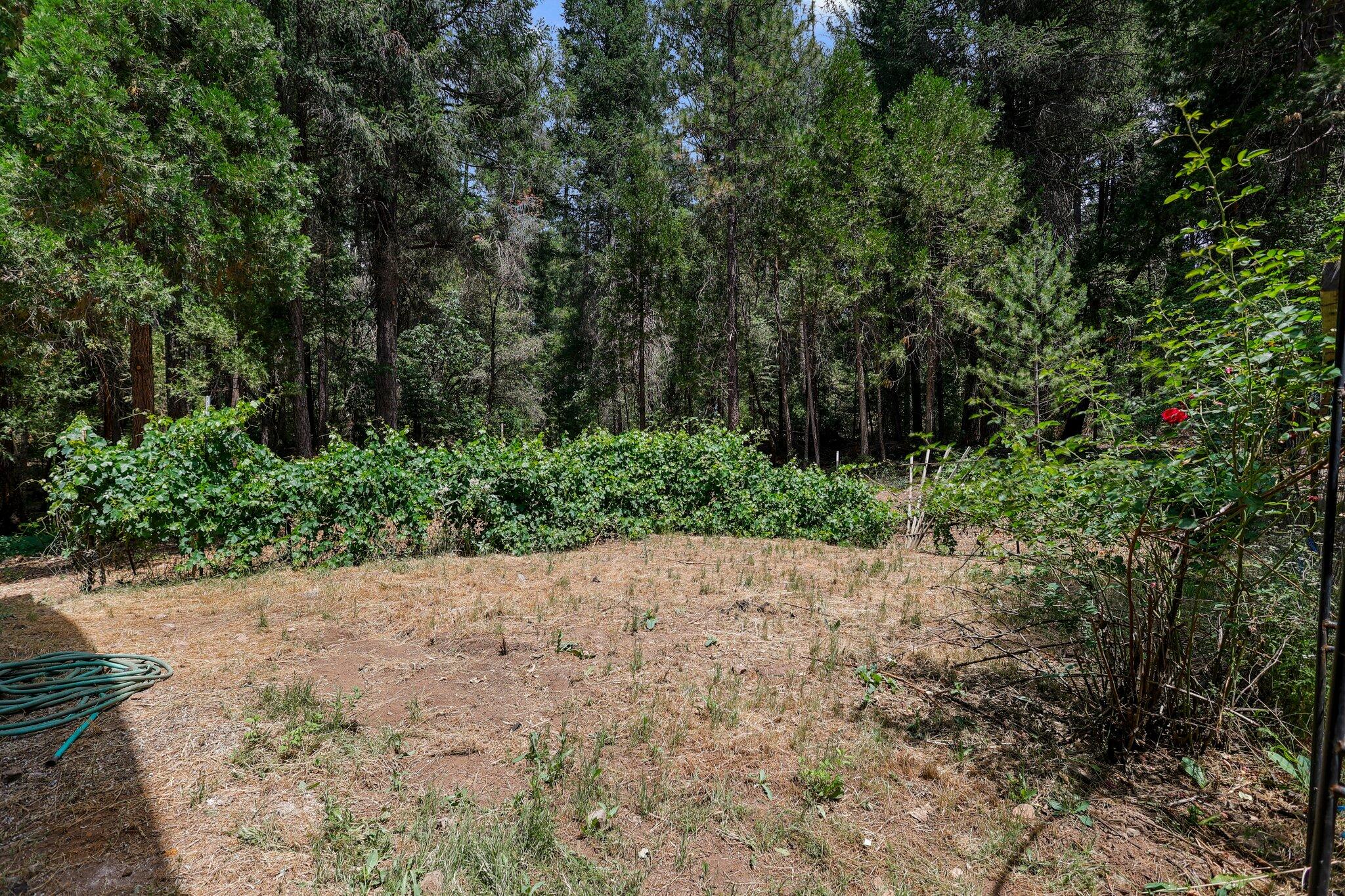 main property photo 61