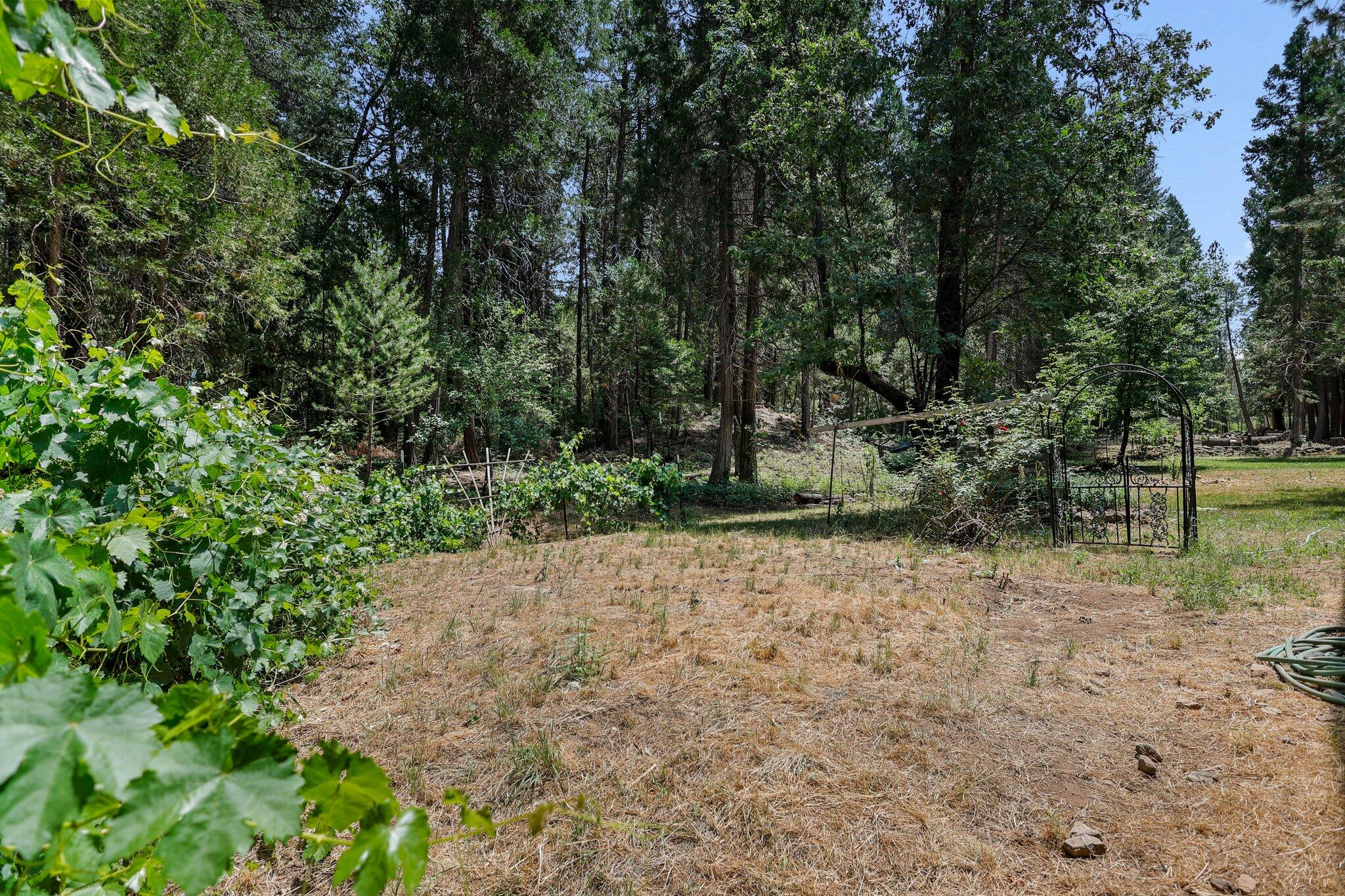 main property photo 63
