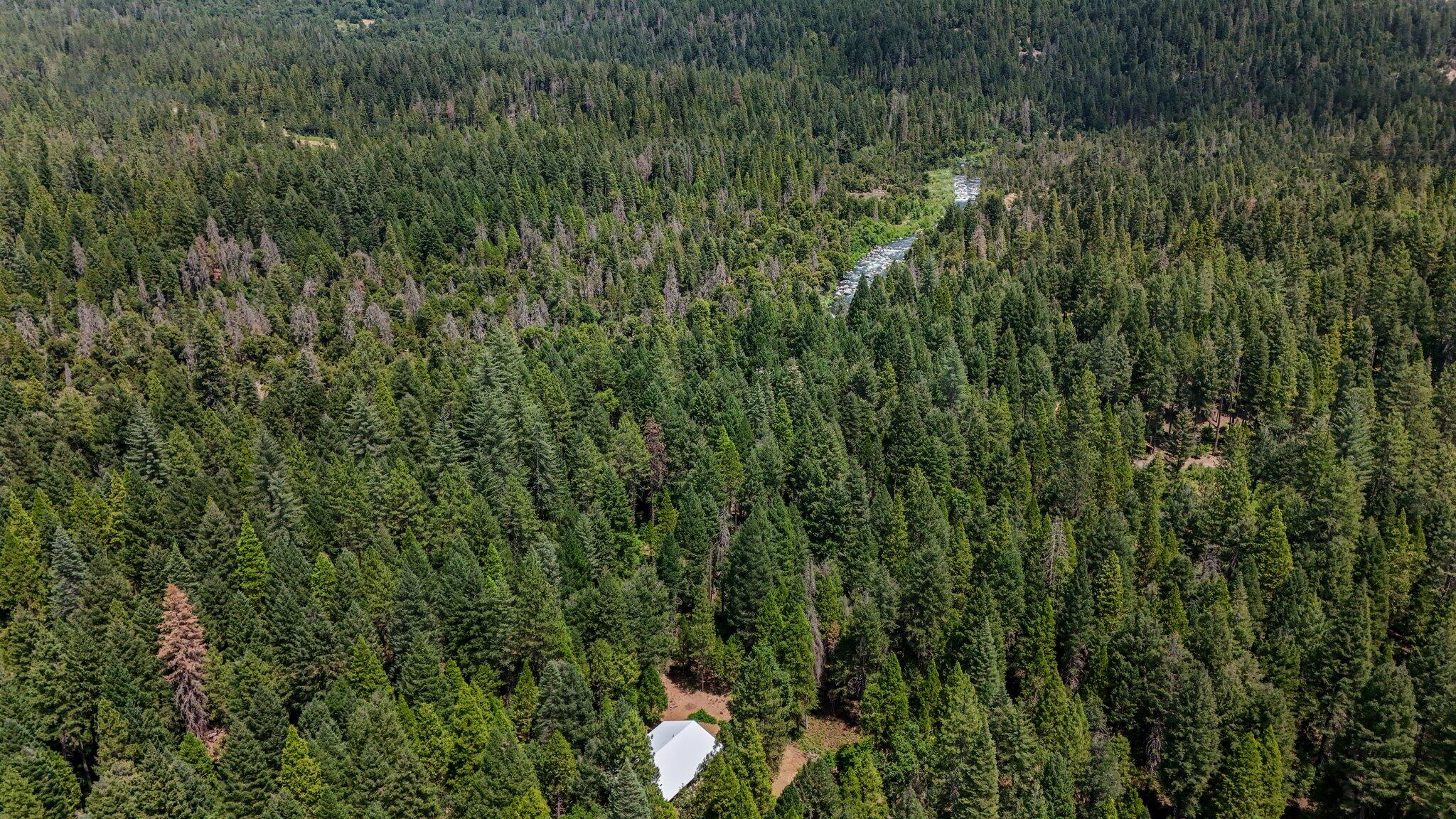 main property photo 68