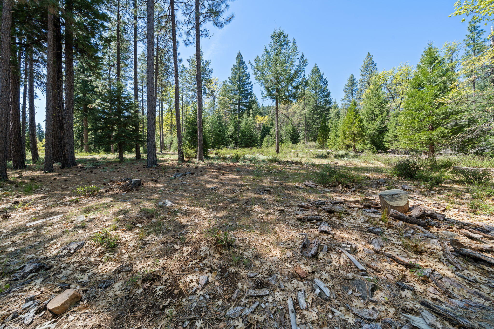 main property photo 52