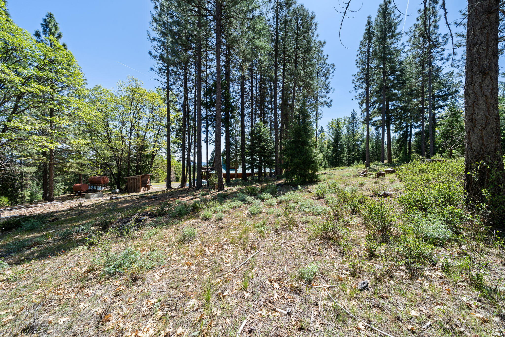 main property photo 53