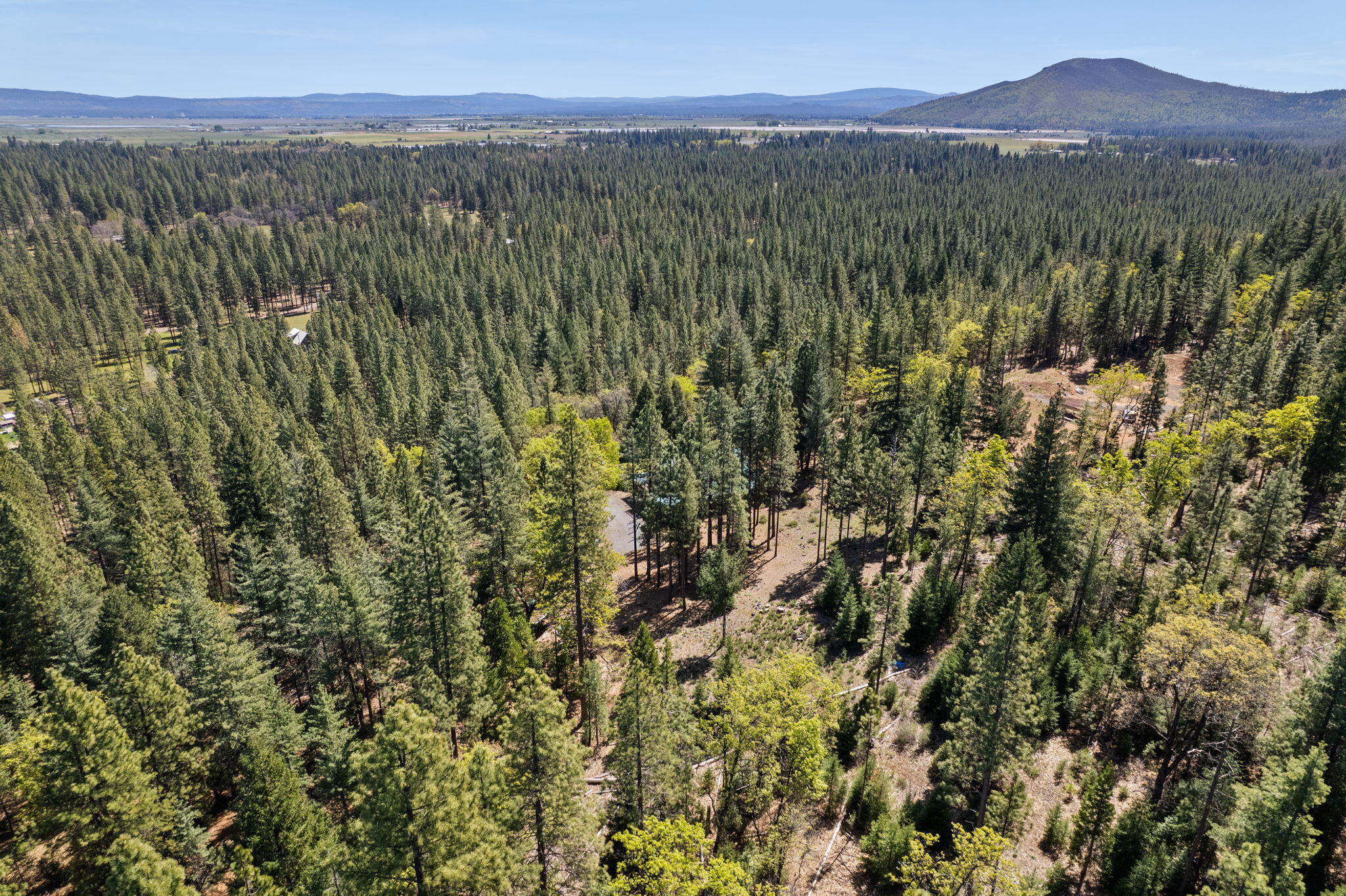 main property photo 62